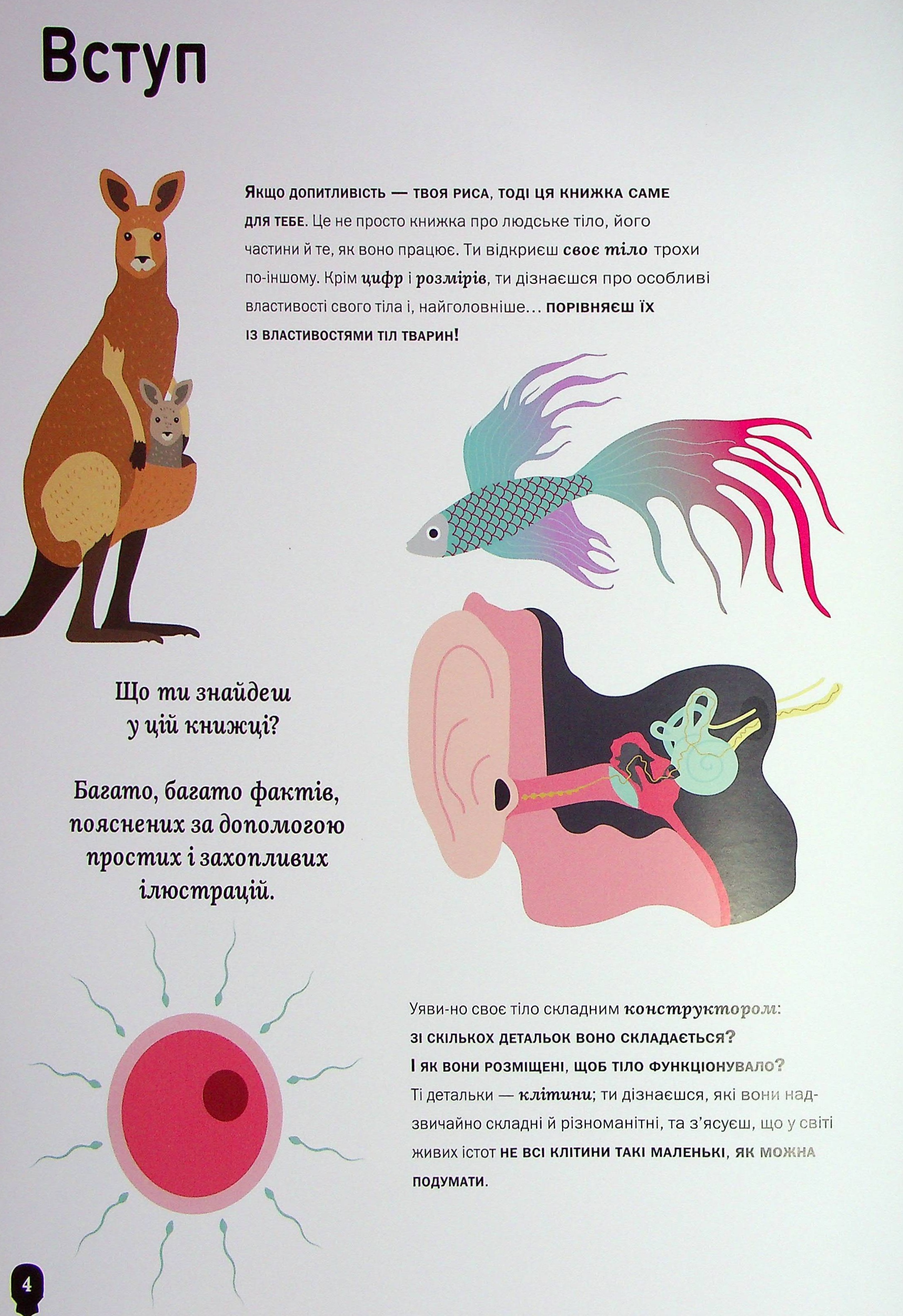 Книга "Перабони К. Тело человека" (у) (3199) 2