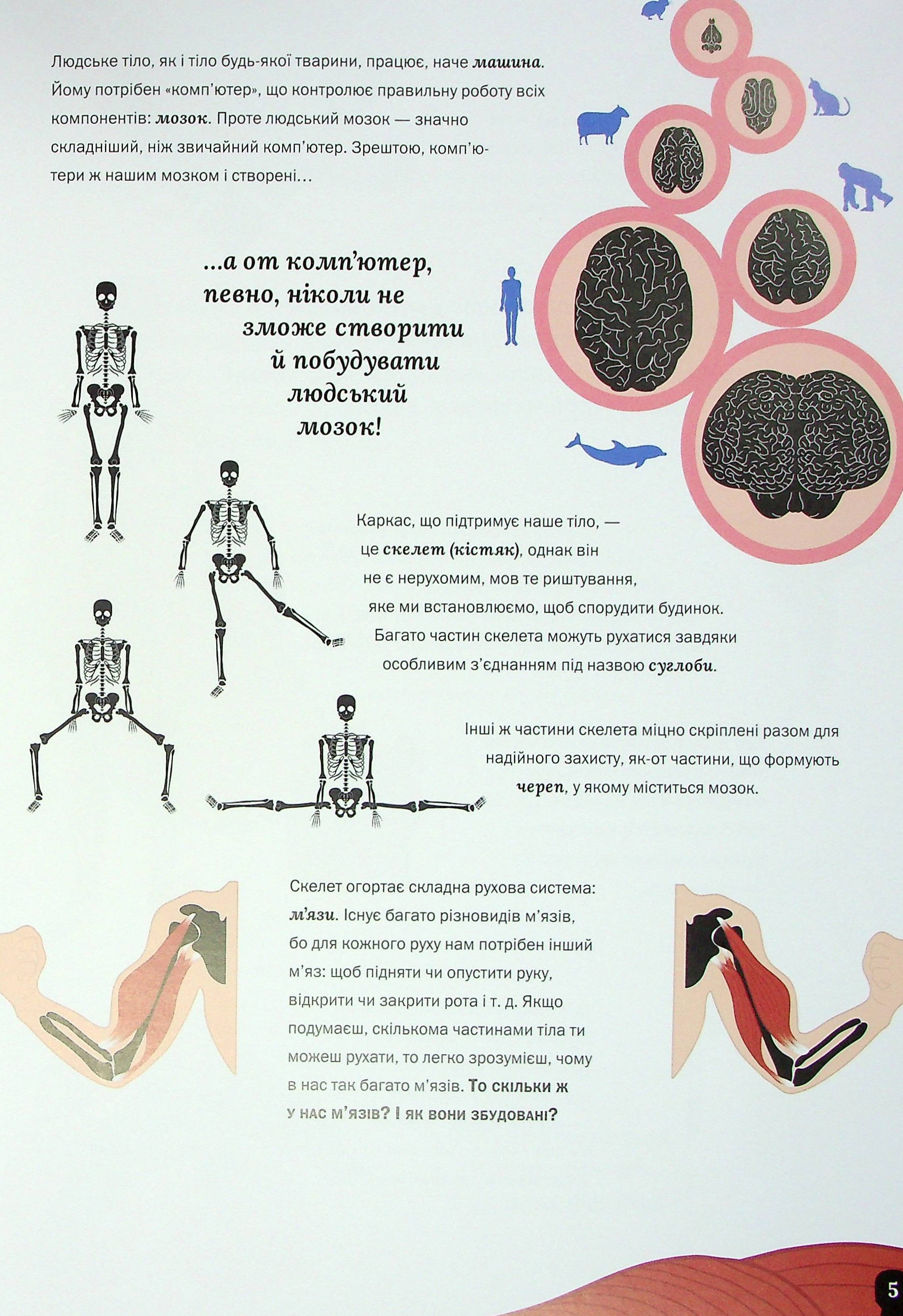 Книга "Перабони К. Тело человека" (у) (3199) 3