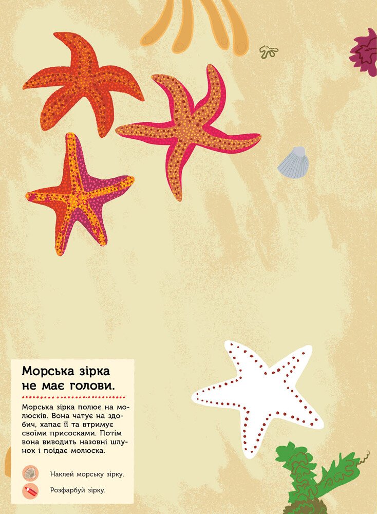Моя книга природи: На березі моря (у), С849006У 4