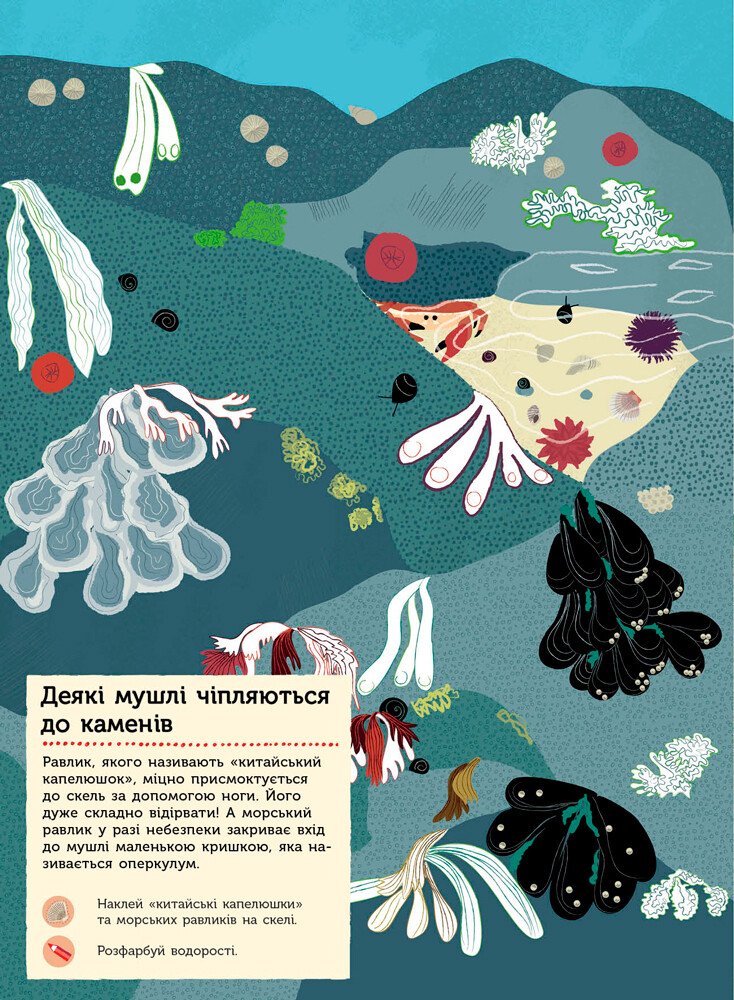 Моя книга природи: На березі моря (у), С849006У 5
