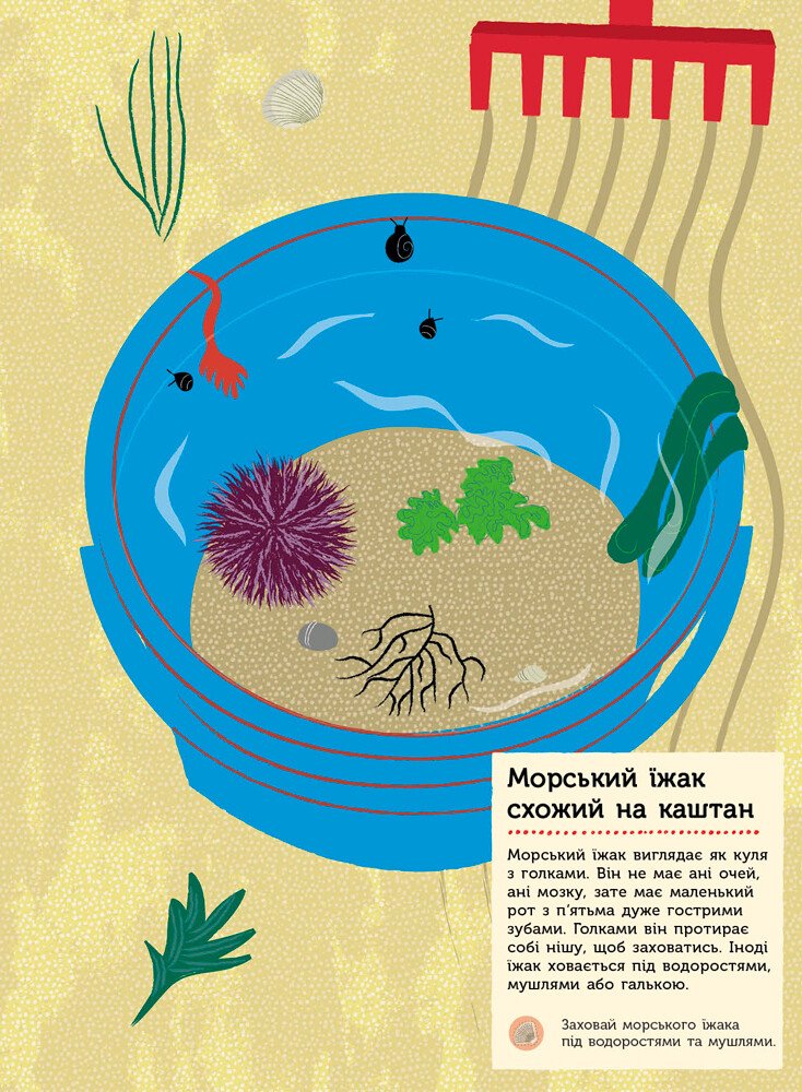 Моя книга природи: На березі моря (у), С849006У 6