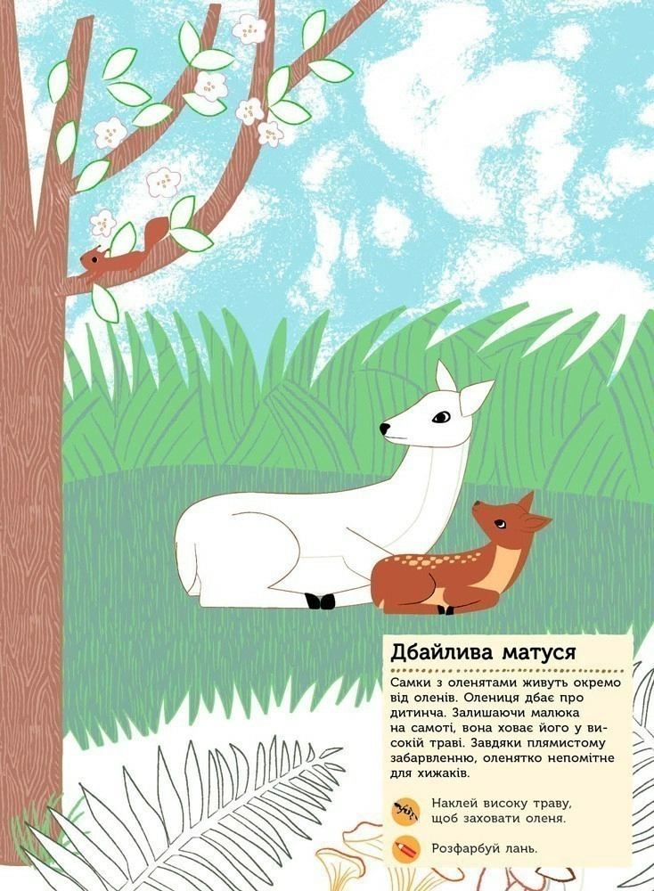 Моя книга природи: Тварини лісу (у), С849008У 4