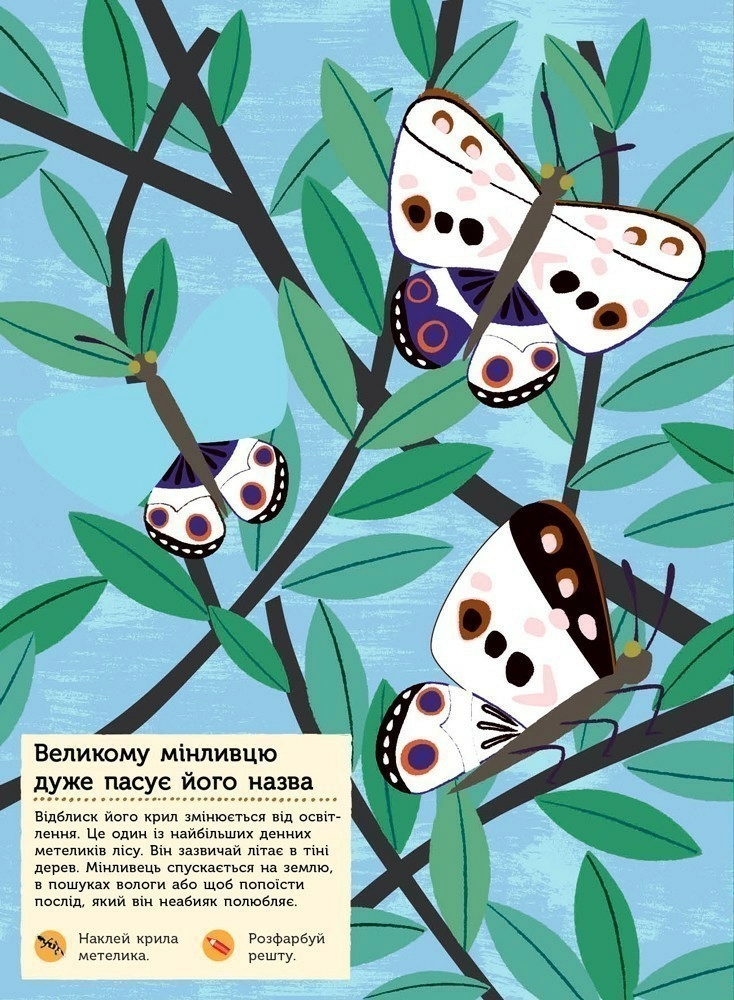 Моя книга природи: Тварини лісу (у), С849008У 6