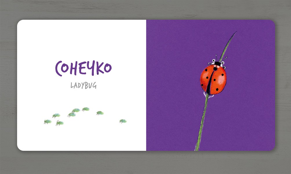 Книга "Таберко К. Насекомые"(у) (5163) 4