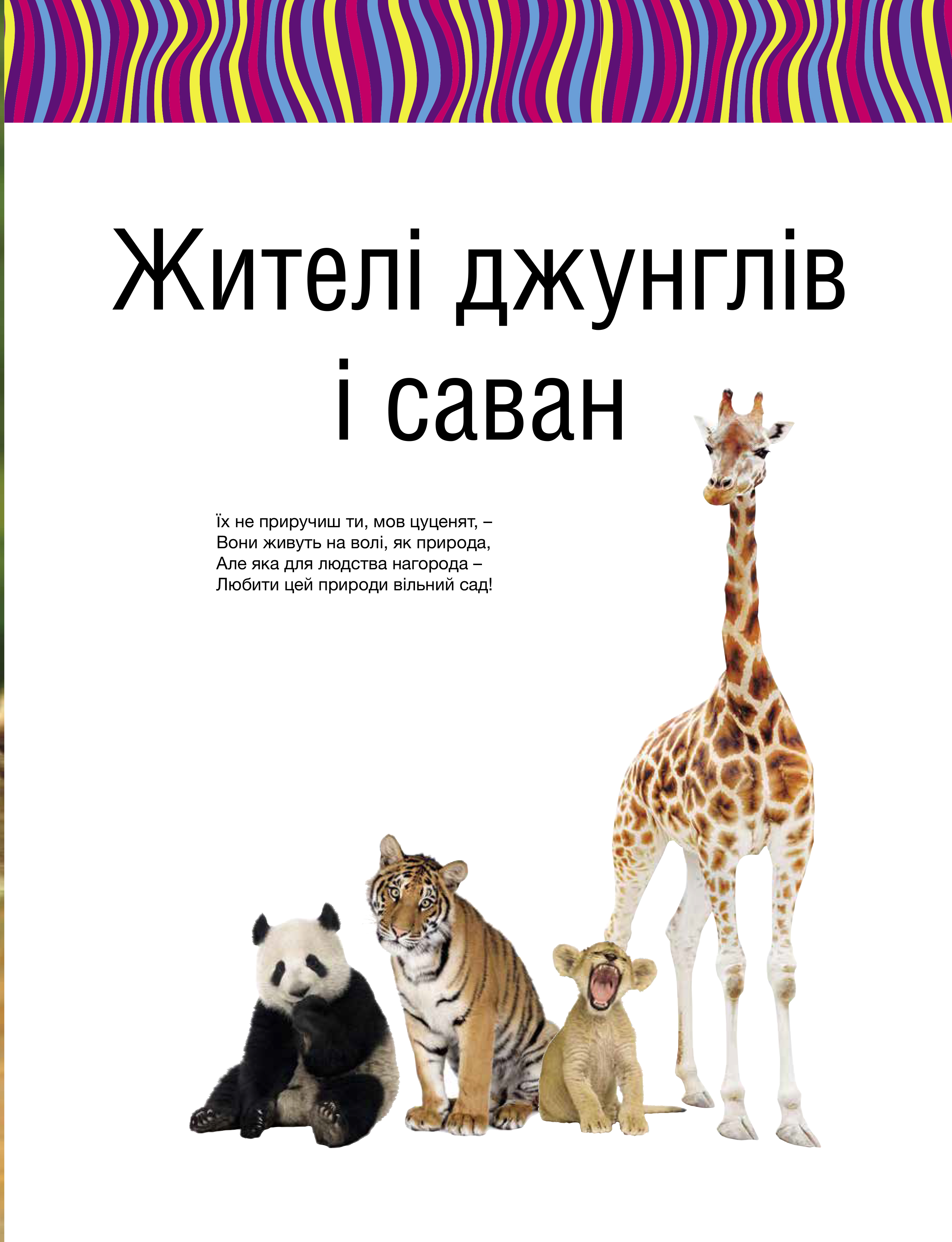 Книга "Сподарик О. Малыши зверьки" (у) (5846) 8