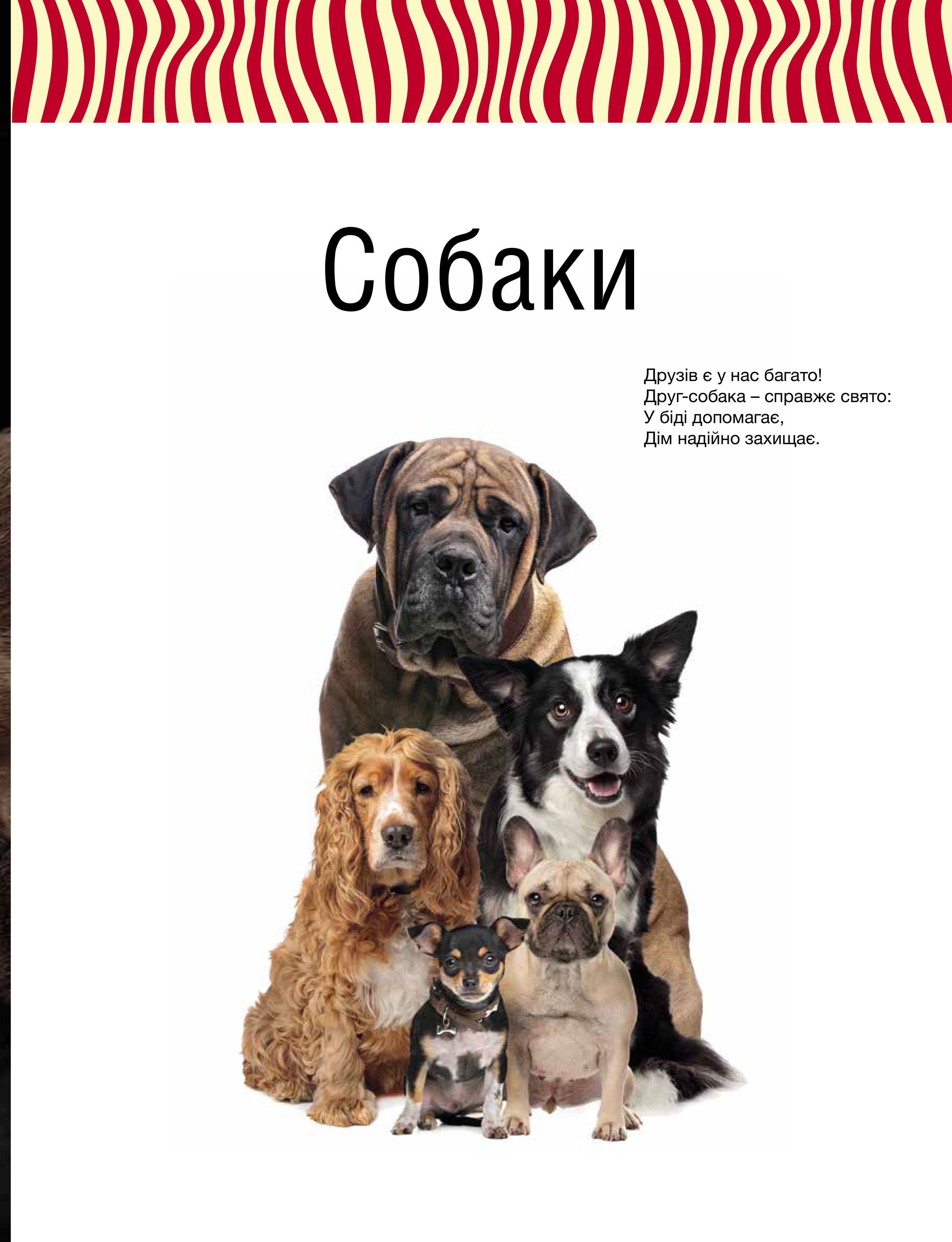 Книга "Сподарик О. Малыши зверьки" (у) (5846) 10