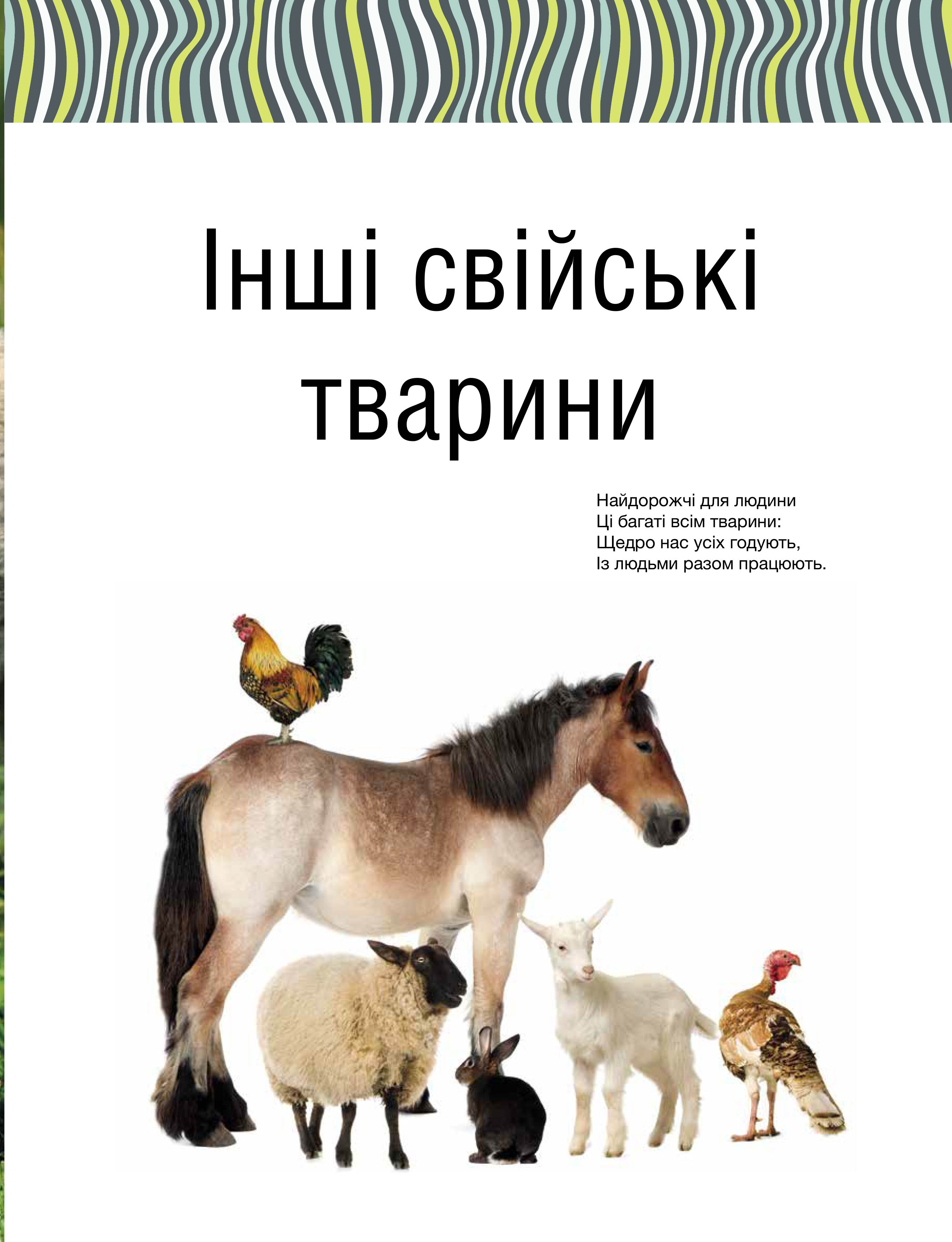 Книга "Сподарик О. Малыши зверьки" (у) (5846) 14