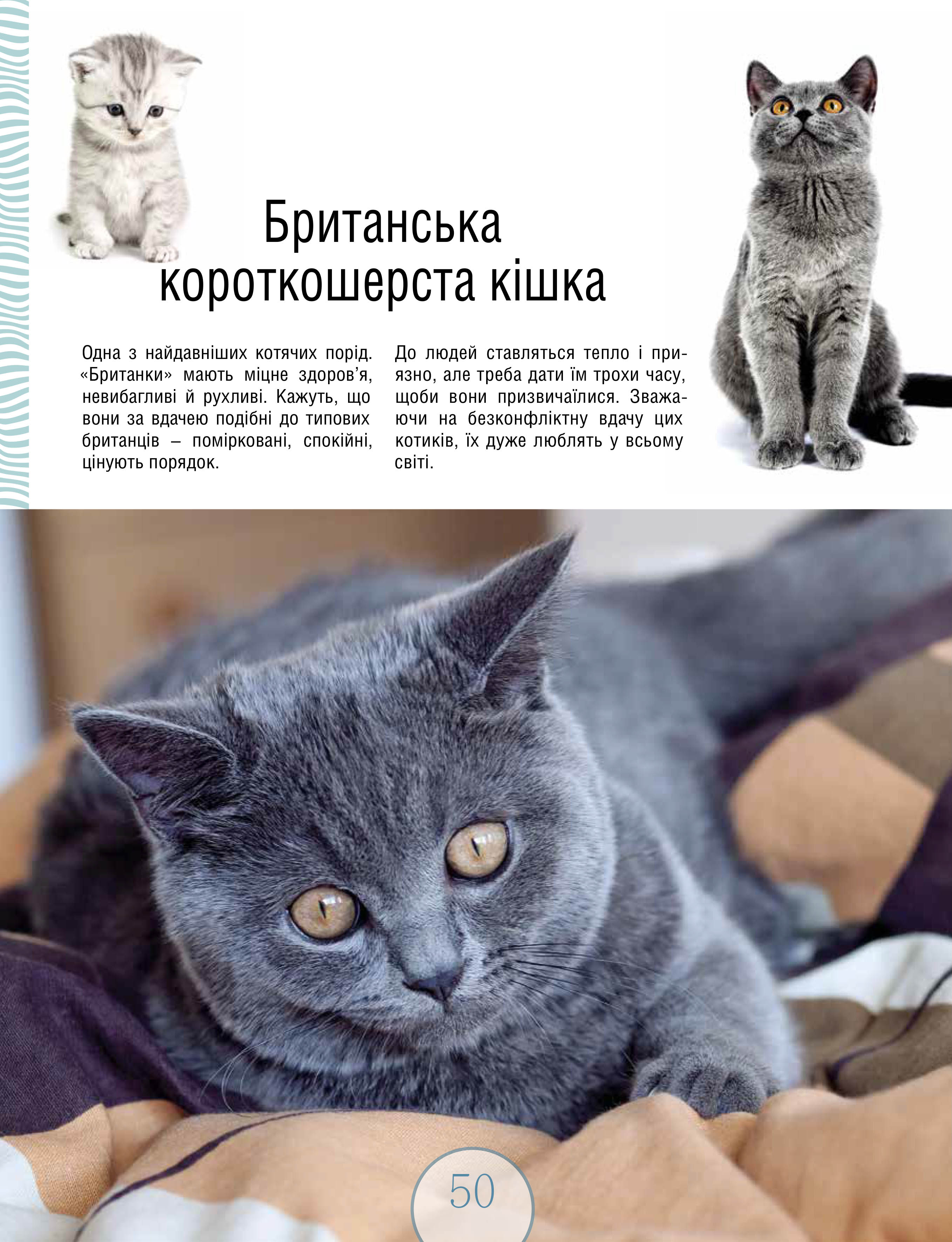Книга "Сподарик О. Малыши зверьки" (у) (5846) 17