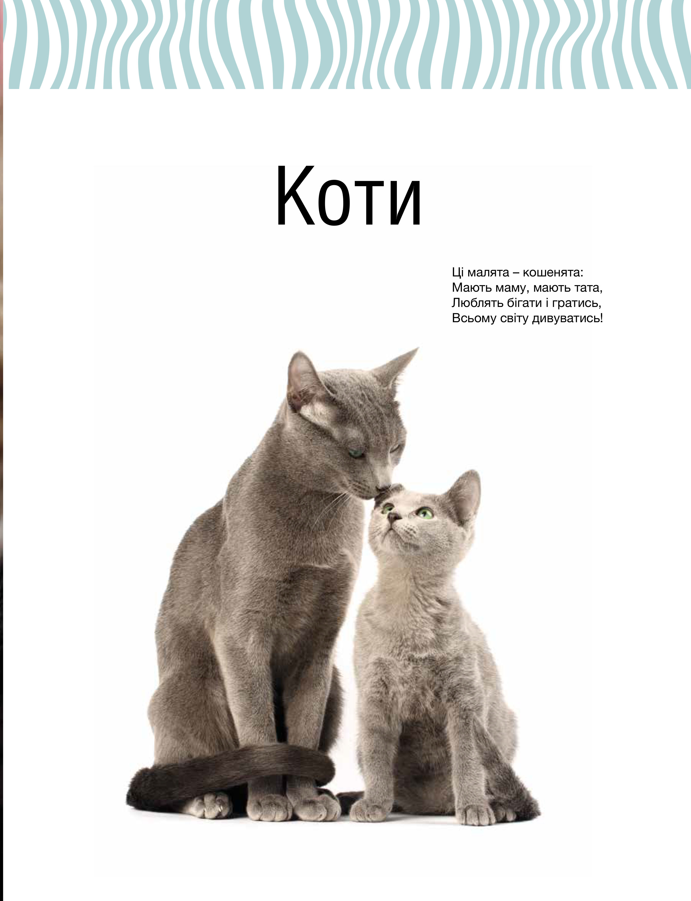 Книга "Сподарик О. Малыши зверьки" (у) (5846) 20