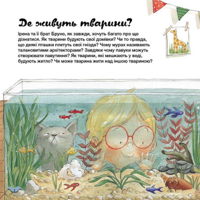 Книга "Кенгуру. Як тварини облаштовують свої домівки?" (у), 429513 2