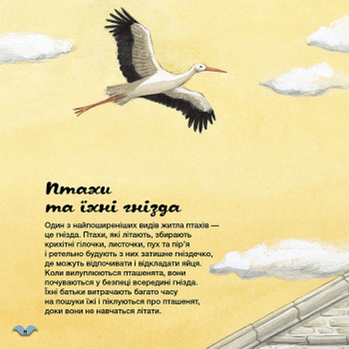 Книга "Кенгуру. Як тварини облаштовують свої домівки?" (у), 429513 6