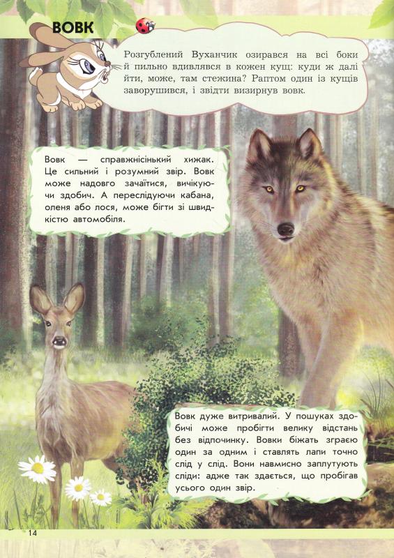 Книга "Макулина Г. Мир животных: От хомячка до динозавра" (у) (4599) 6