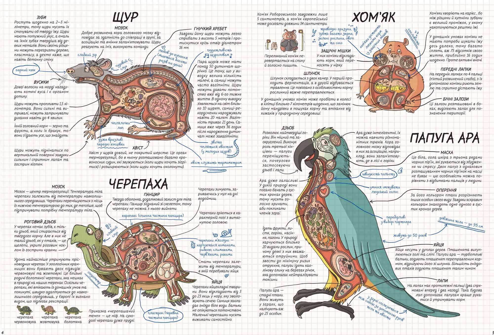 Книга "Кухарская Н. Как это работает? Животные" (у) (5526) 4