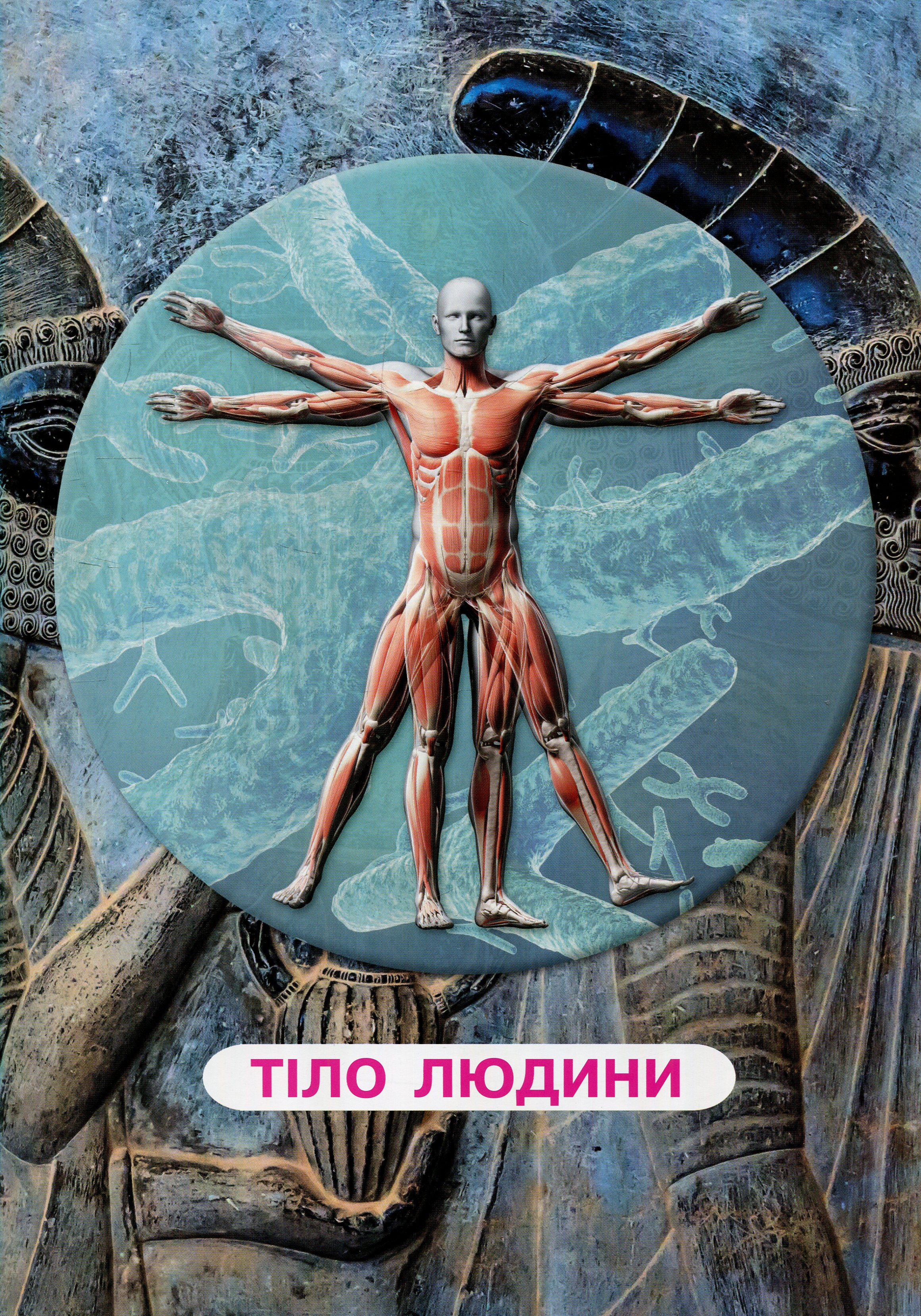Книга "Усе про тіло людини. 1000 цікавих фактів" (у) 4