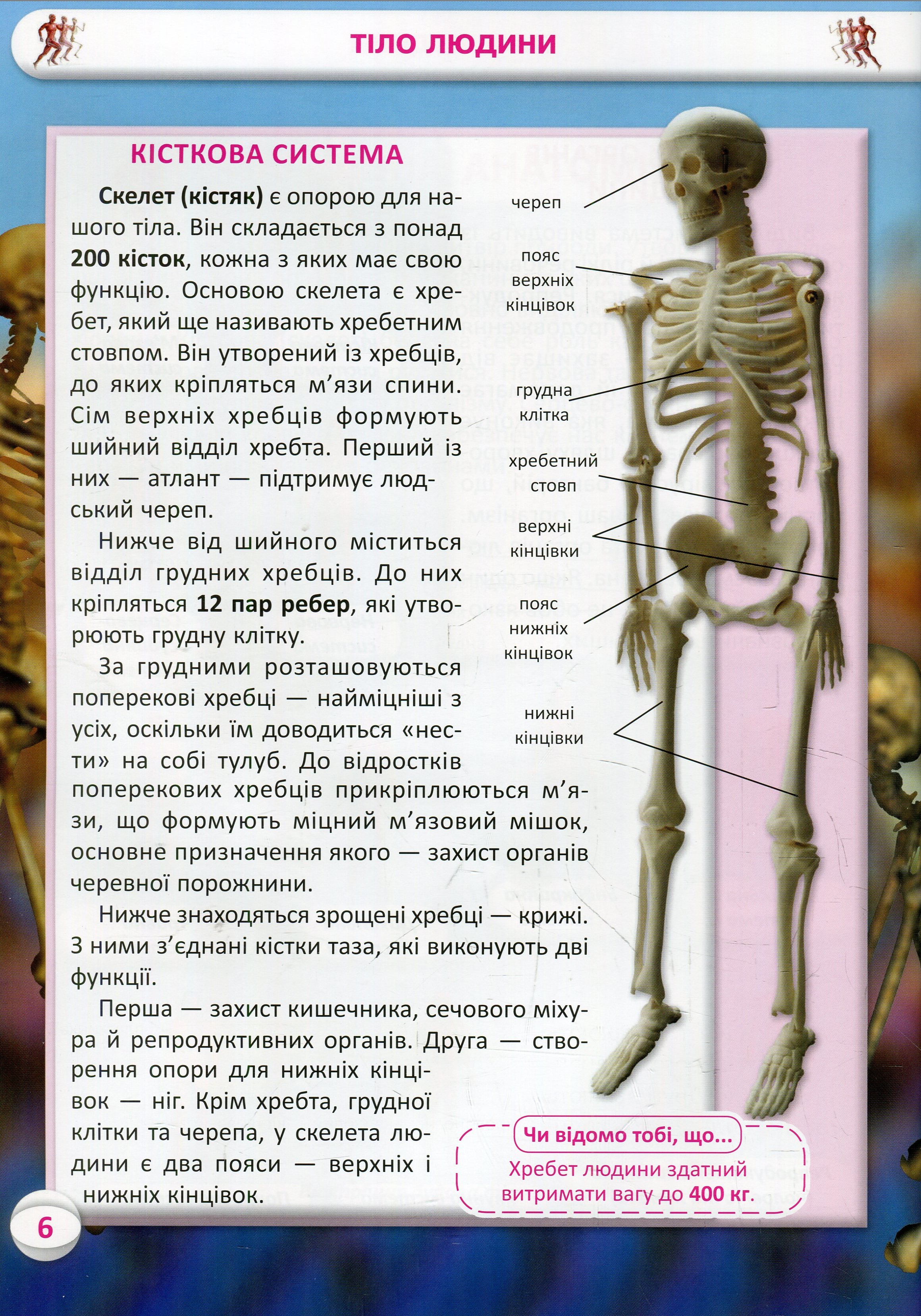 Книга "Усе про тіло людини. 1000 цікавих фактів" (у) 7