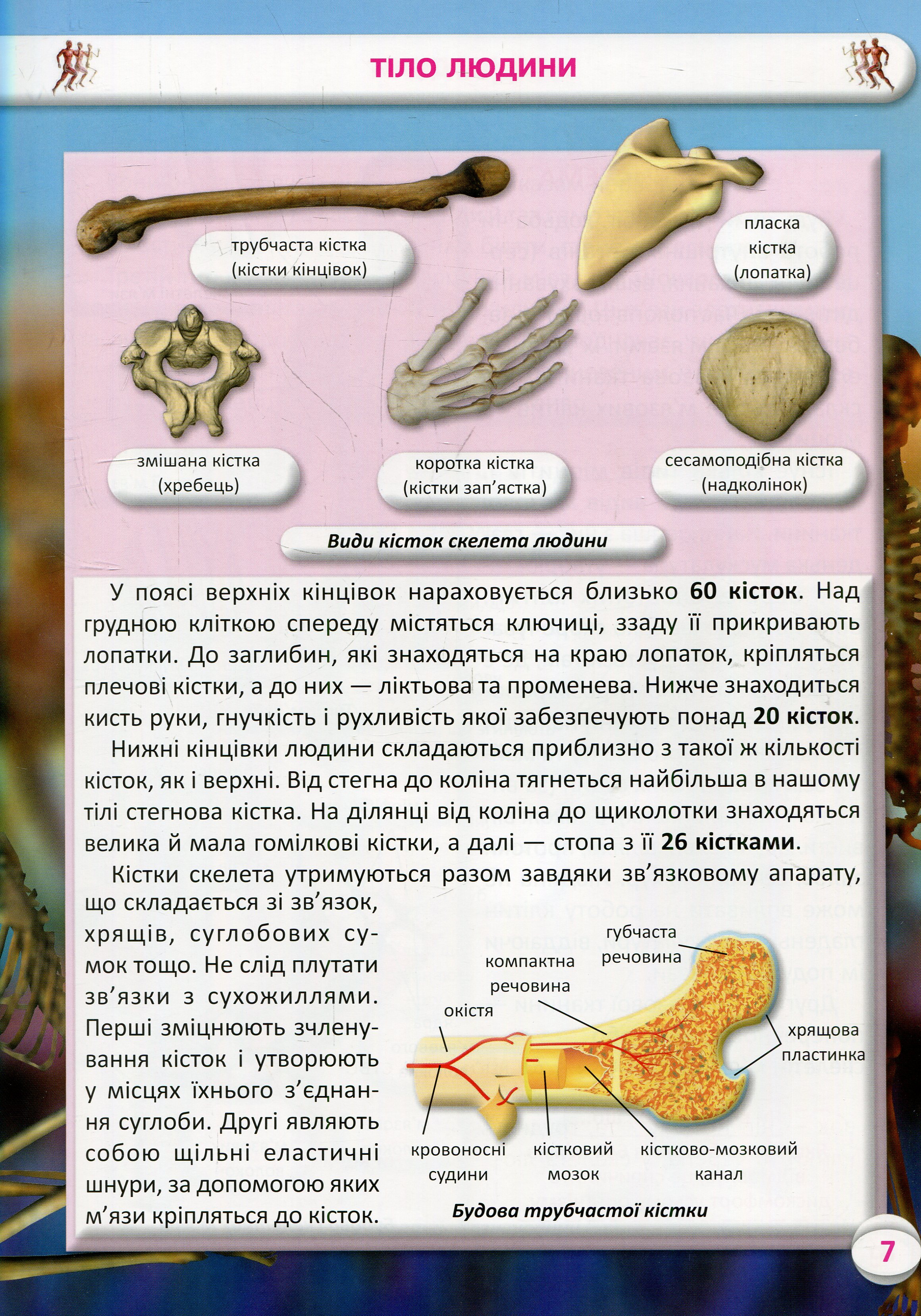 Книга "Усе про тіло людини. 1000 цікавих фактів" (у) 8