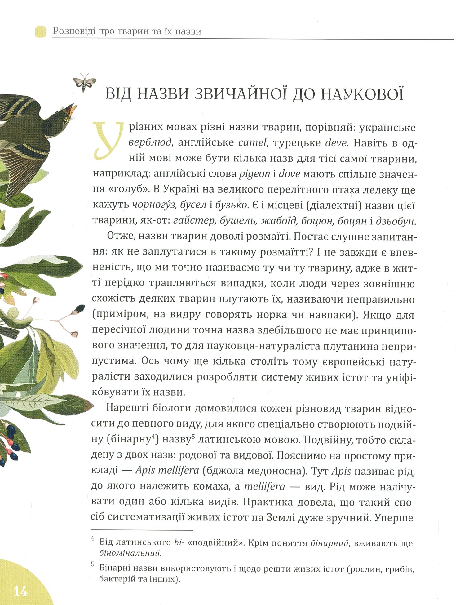 Книга "Булаховский К., Гаврилюк М. Рассказы о животных и их названиях" (у) (9349) 15