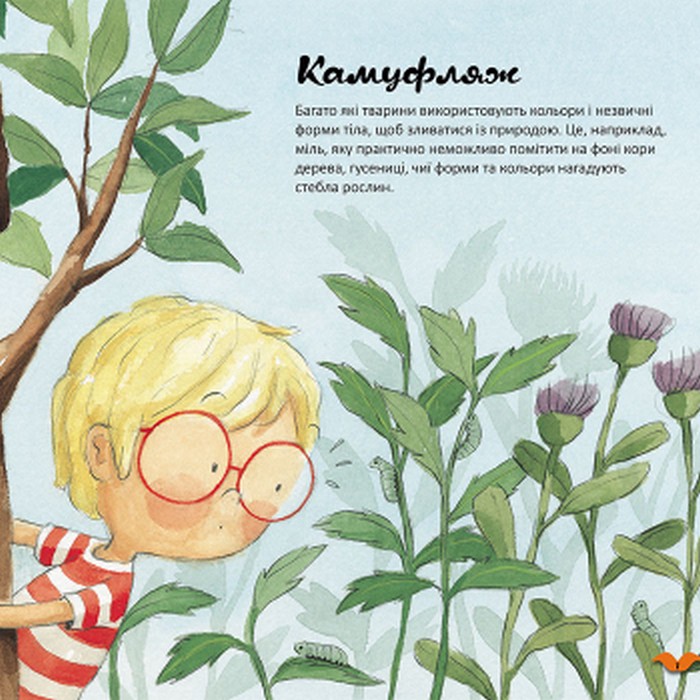 Книга "Кенгуру. Цвета в мире животных" (у), 429512 3