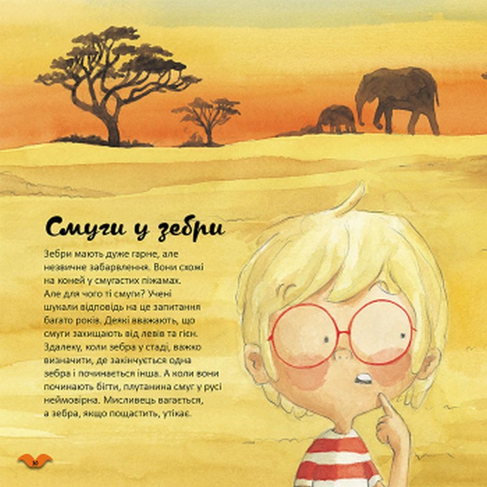 Книга "Кенгуру. Цвета в мире животных" (у), 429512 6