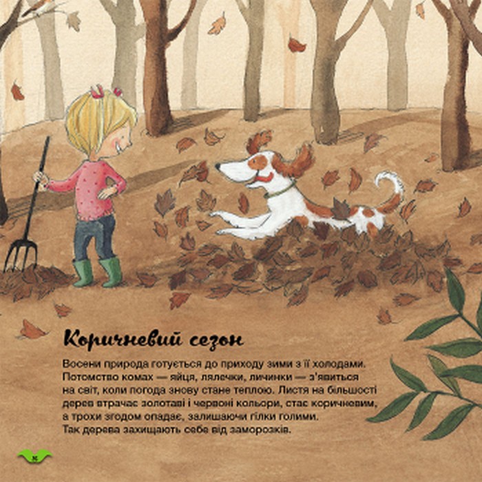 Книга "Кенгуру. Как меняется погода в разное время года?" (у), 429511 6