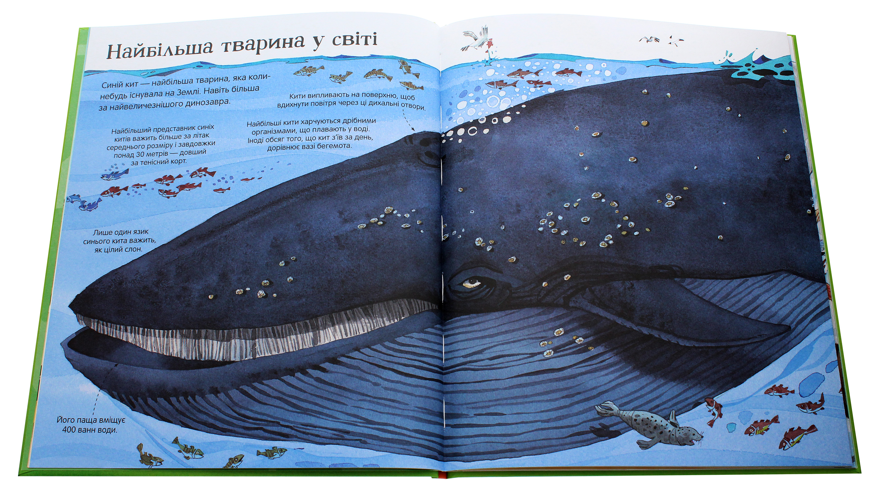 Книга "Маскелл  Г. Велика книга тварин" (у) (0325) 3