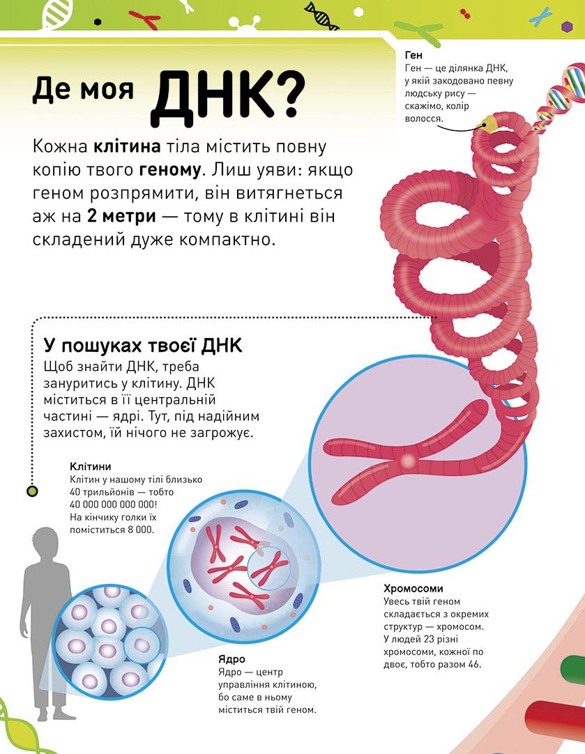 Книга "Расширение мировоззрения: Чрезвычайная ДНК"(у), 451747 7