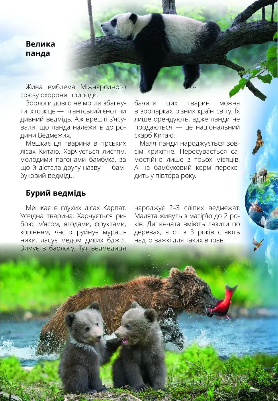 Книга "Лучший подарок: Обо всем на свете маленьким украинцам" (у) (0450) 8