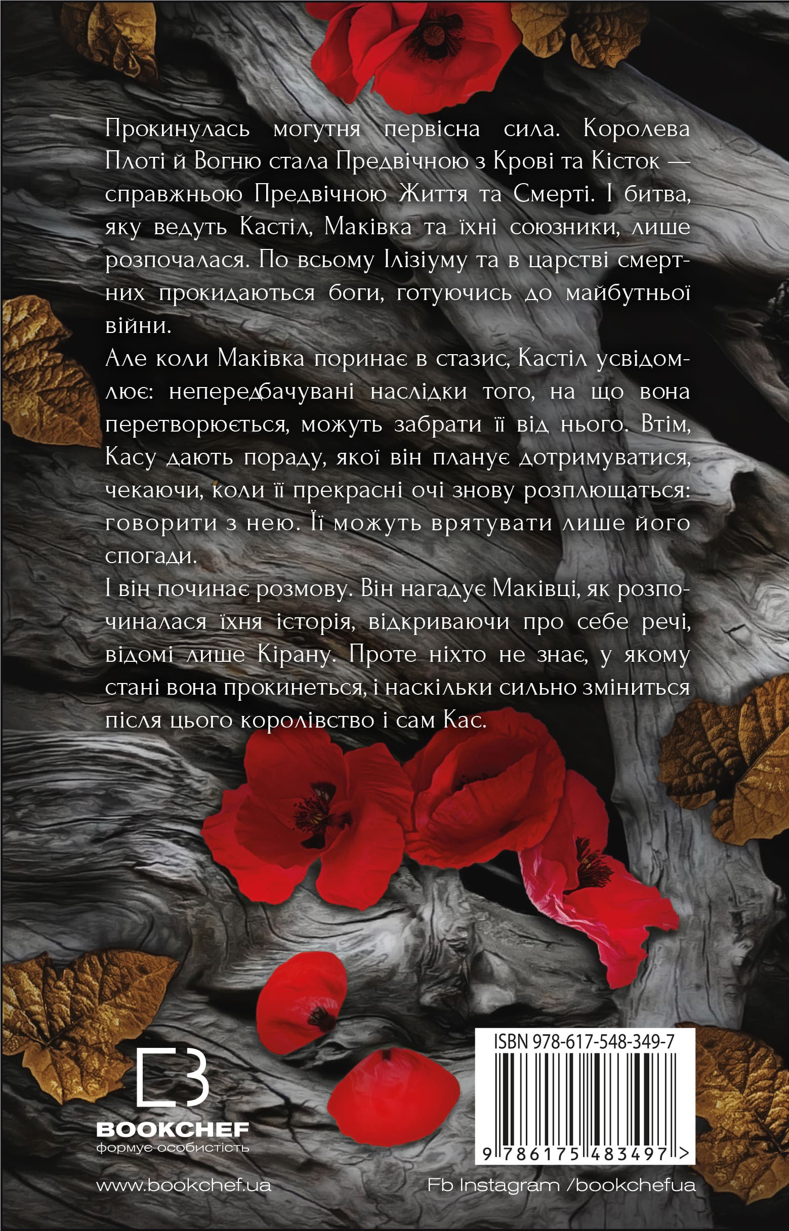 Книга "Арментраут Дж. Л. Кров і попіл: Кн.5. Душа з попелу та крові" (у) (3497) 1