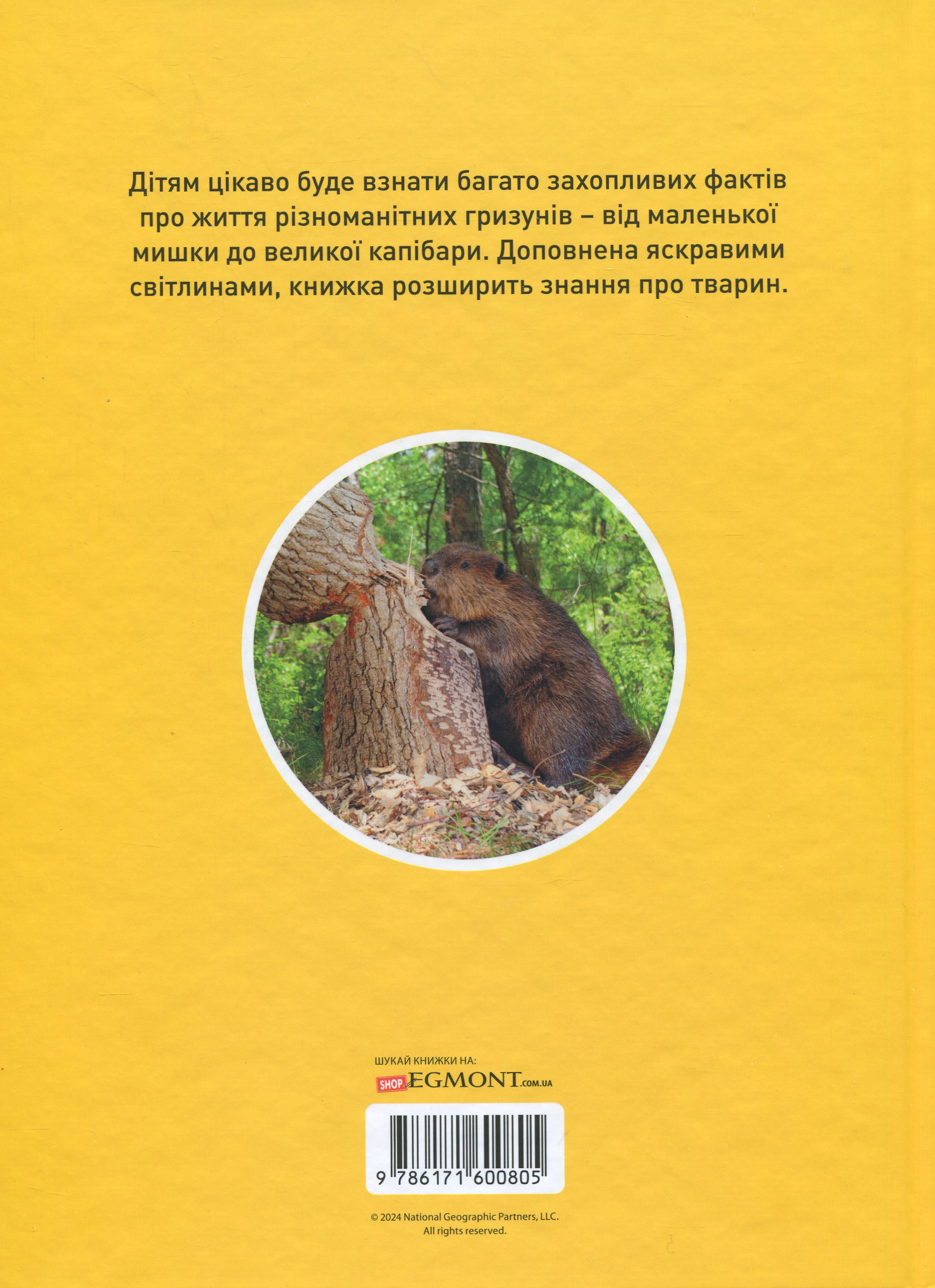 Книга "National Geographic kids. Шкряб! 100 цікавих фактів про гризунів" (у) (0805) 1
