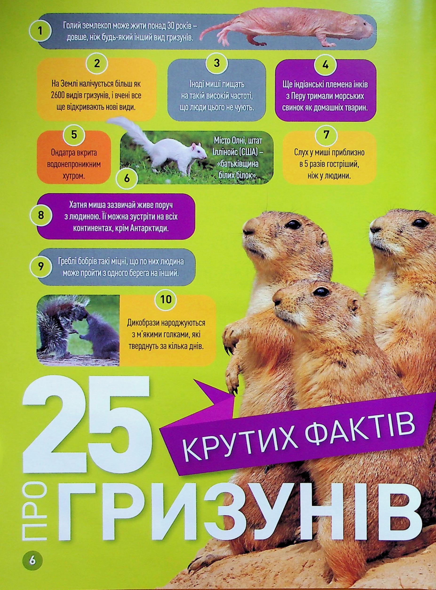 Книга "National Geographic kids. Шкряб! 100 цікавих фактів про гризунів" (у) (0805) 3