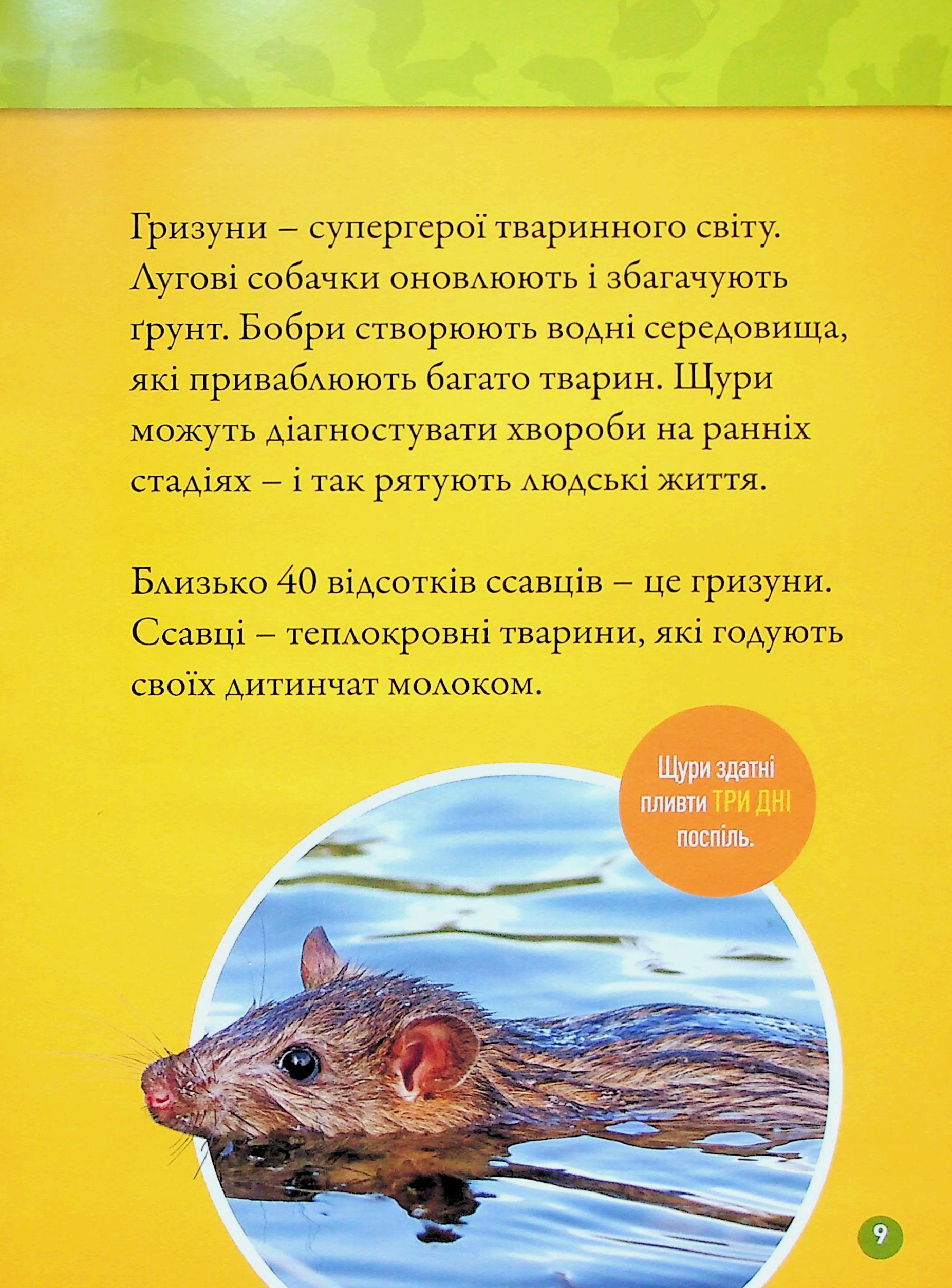 Книга "National Geographic kids. Шкряб! 100 цікавих фактів про гризунів" (у) (0805) 6