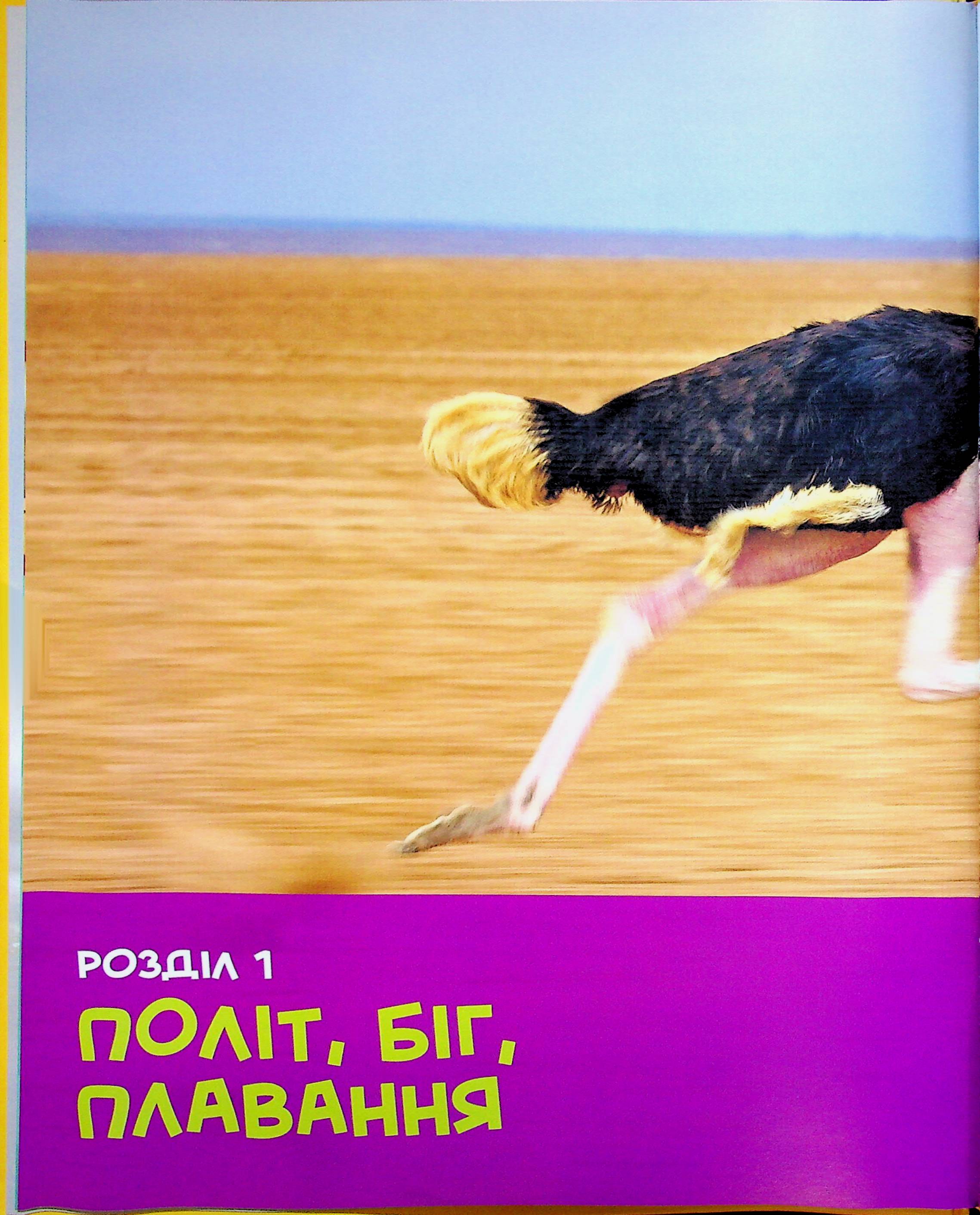Книга "National Geographic. Моя первая энциклопедия. Птицы" (у) (0782) 2