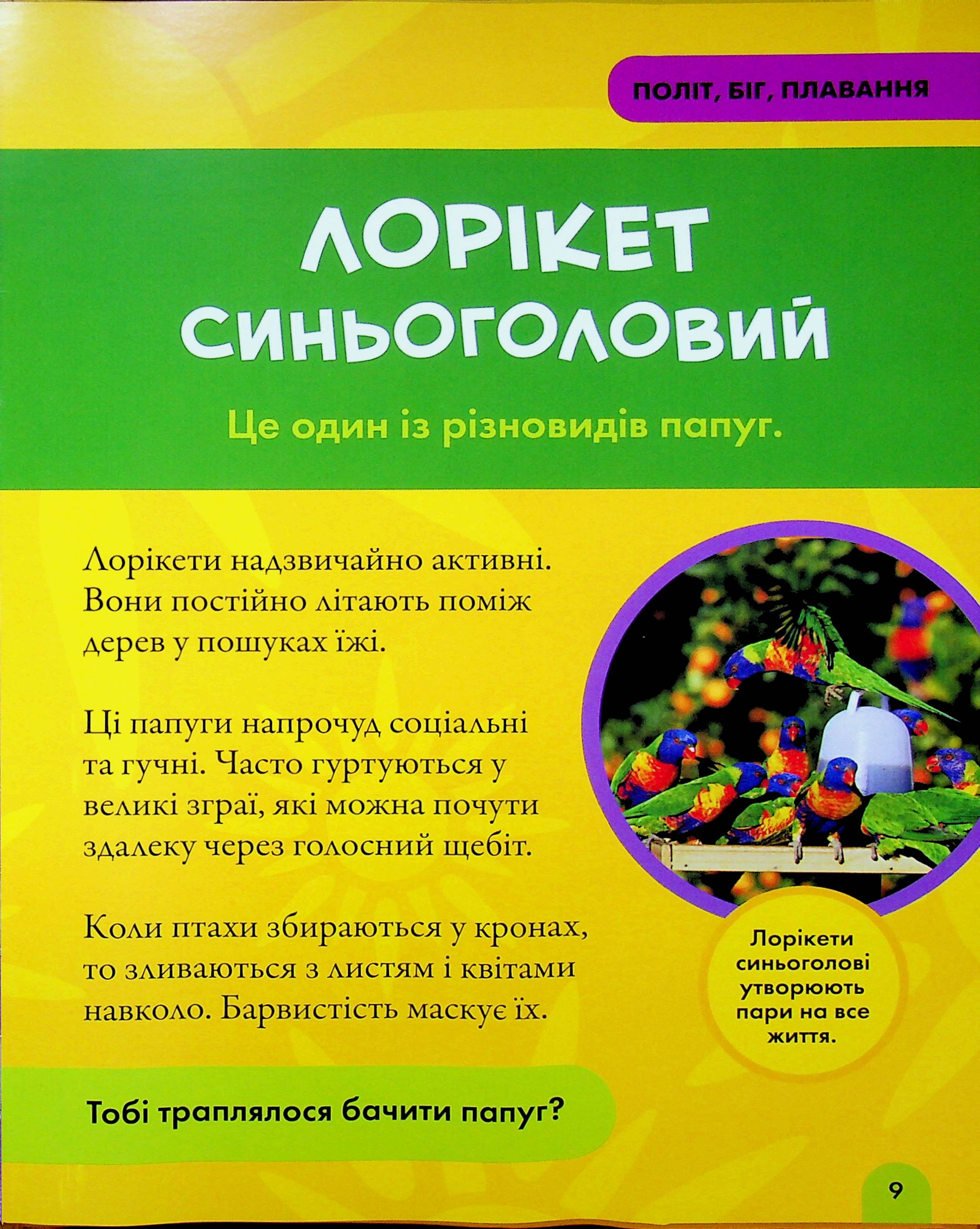 Книга "National Geographic. Моя первая энциклопедия. Птицы" (у) (0782) 5