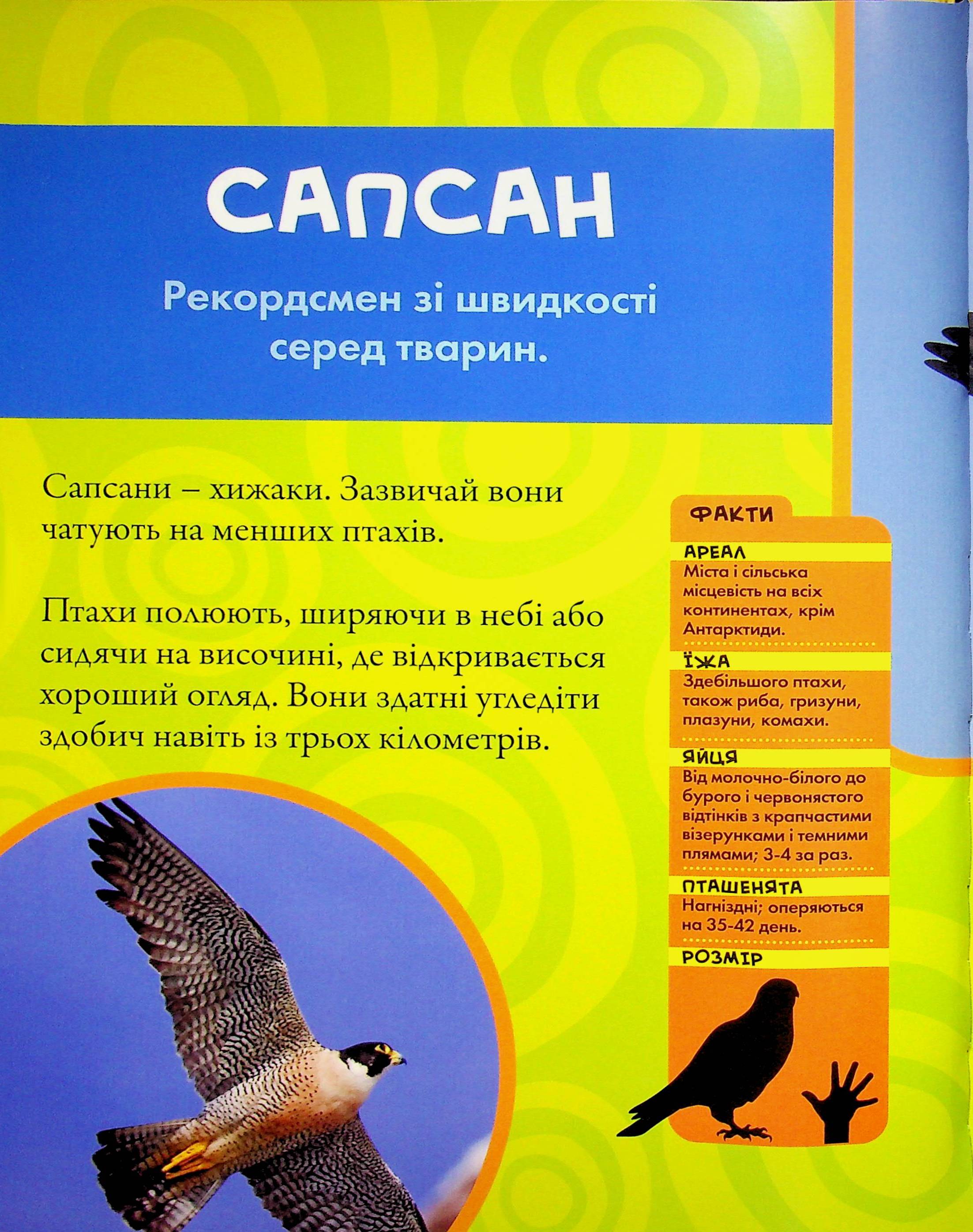 Книга "National Geographic. Моя первая энциклопедия. Птицы" (у) (0782) 6