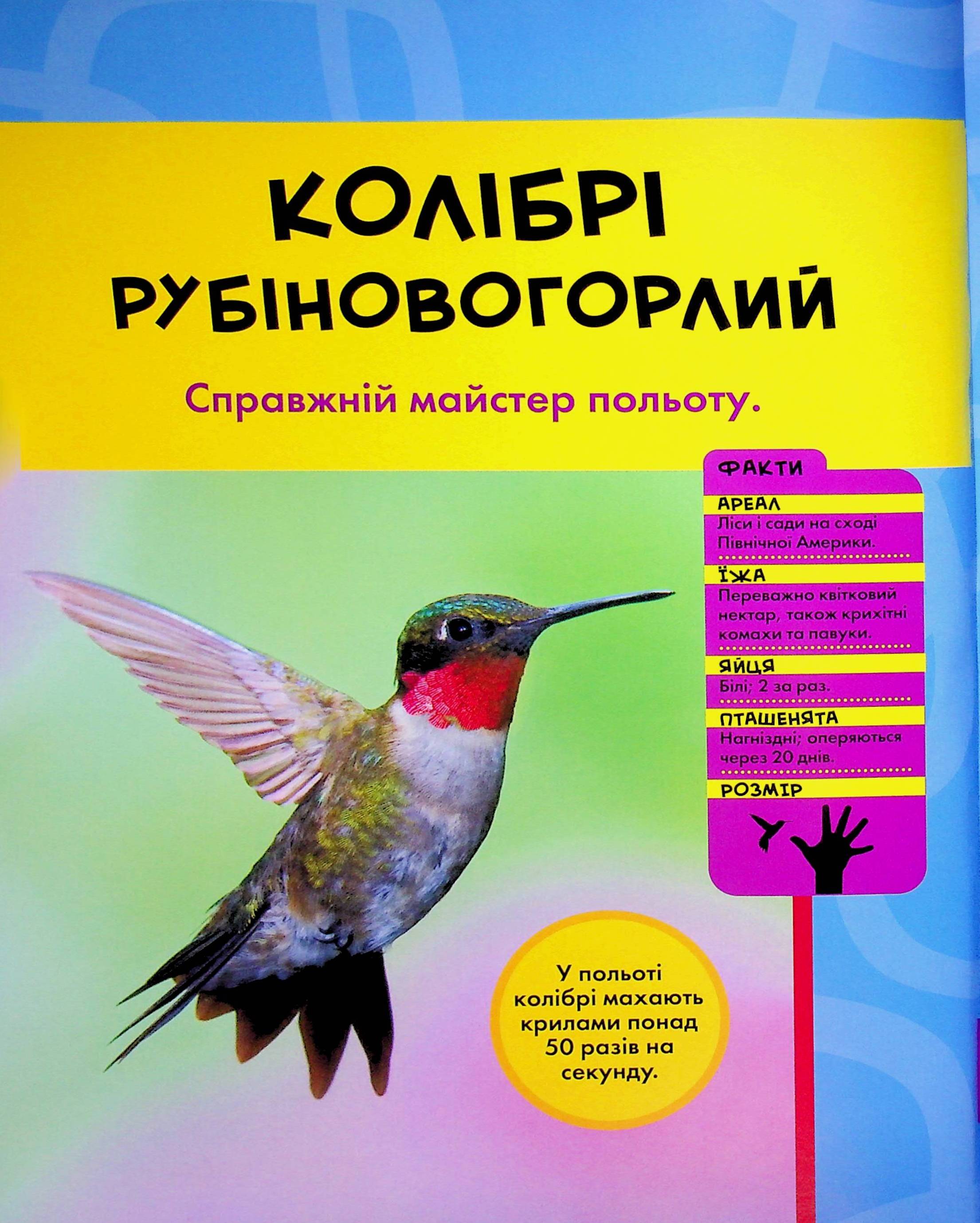 Книга "National Geographic. Моя первая энциклопедия. Птицы" (у) (0782) 8