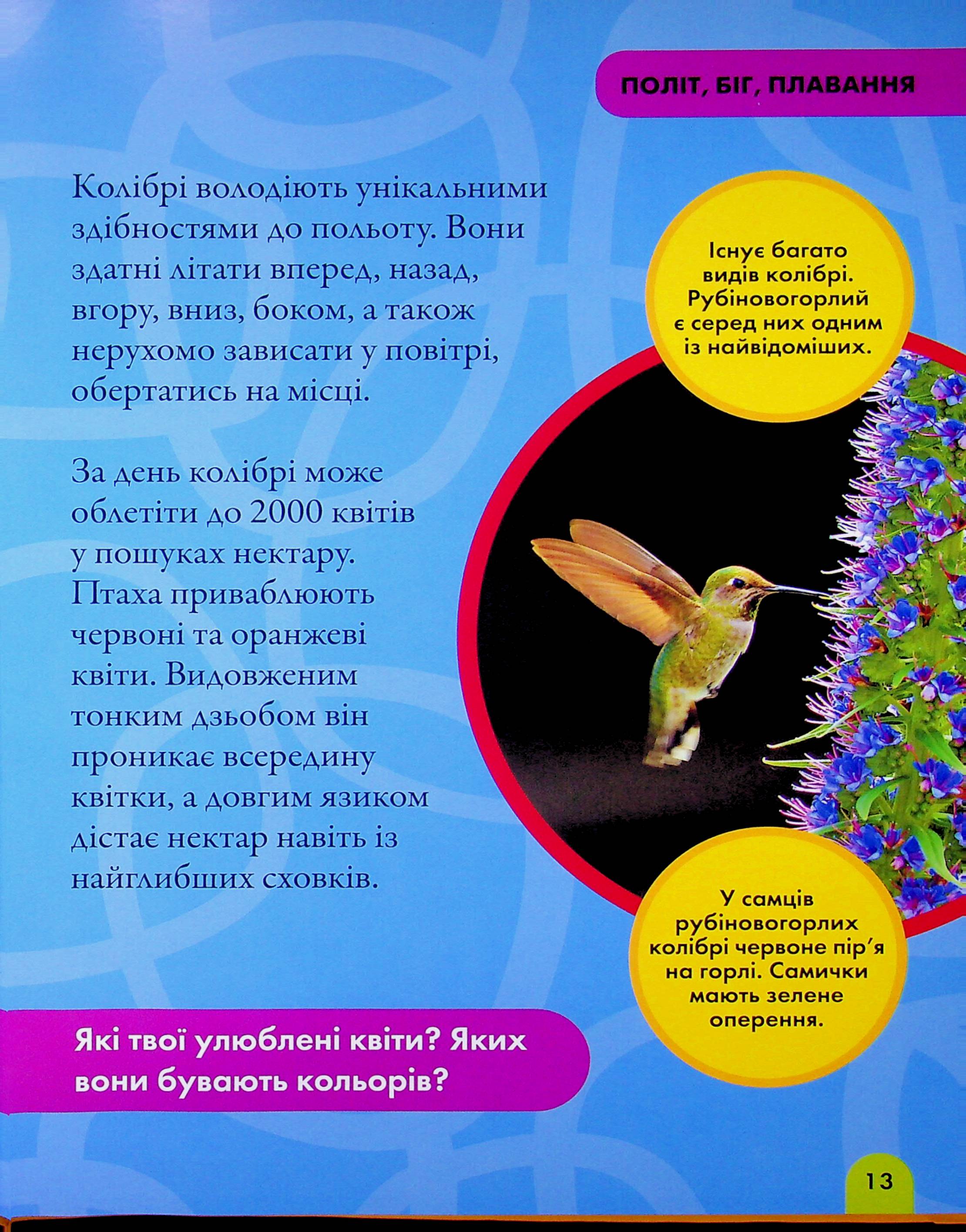 Книга "National Geographic. Моя первая энциклопедия. Птицы" (у) (0782) 9
