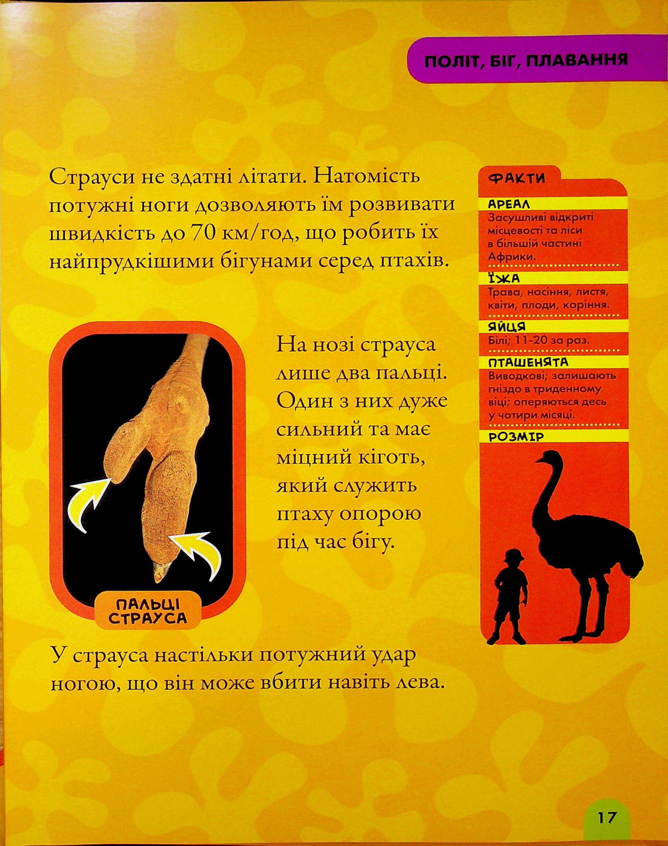 Книга "National Geographic. Моя первая энциклопедия. Птицы" (у) (0782) 13