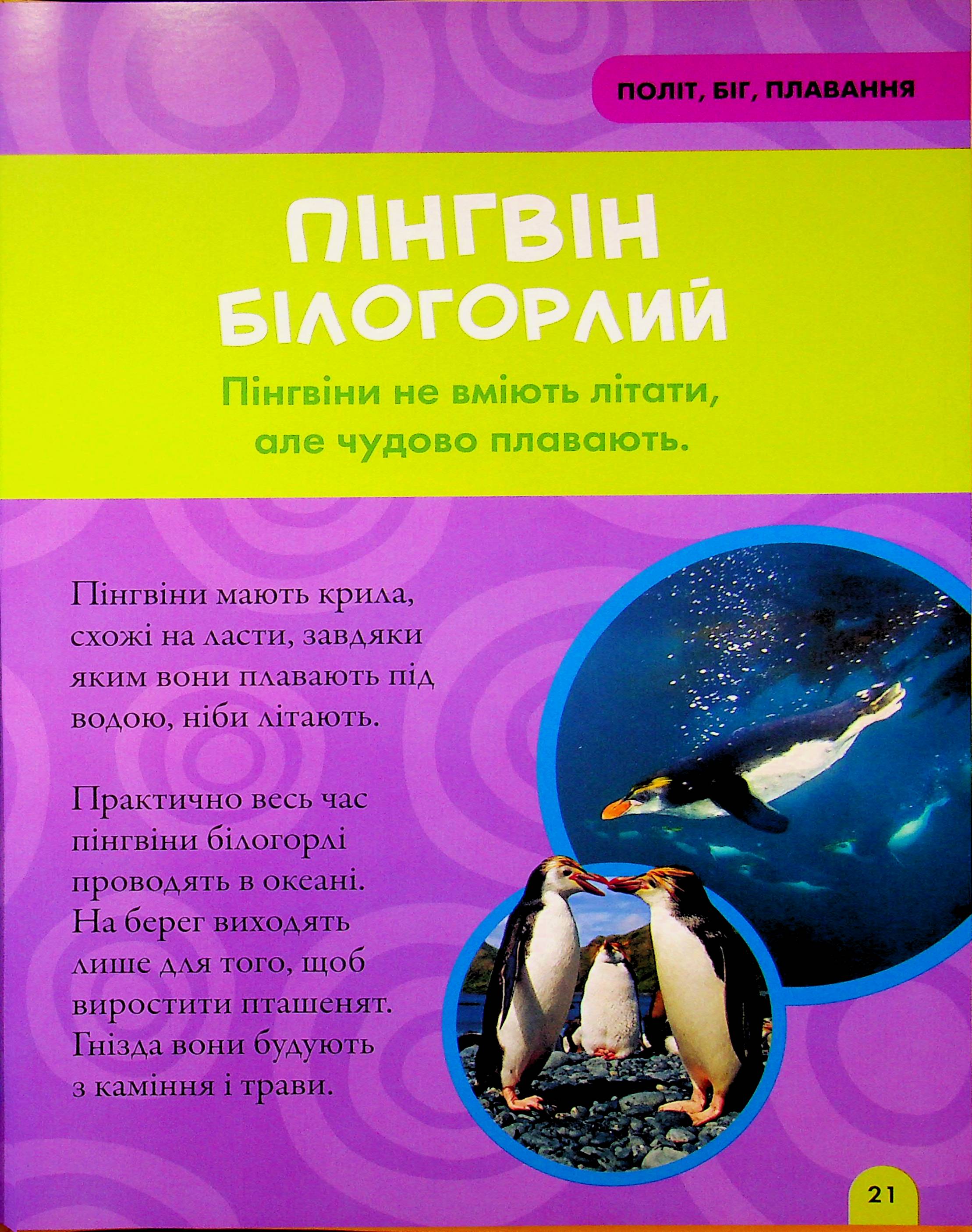 Книга "National Geographic. Моя первая энциклопедия. Птицы" (у) (0782) 17