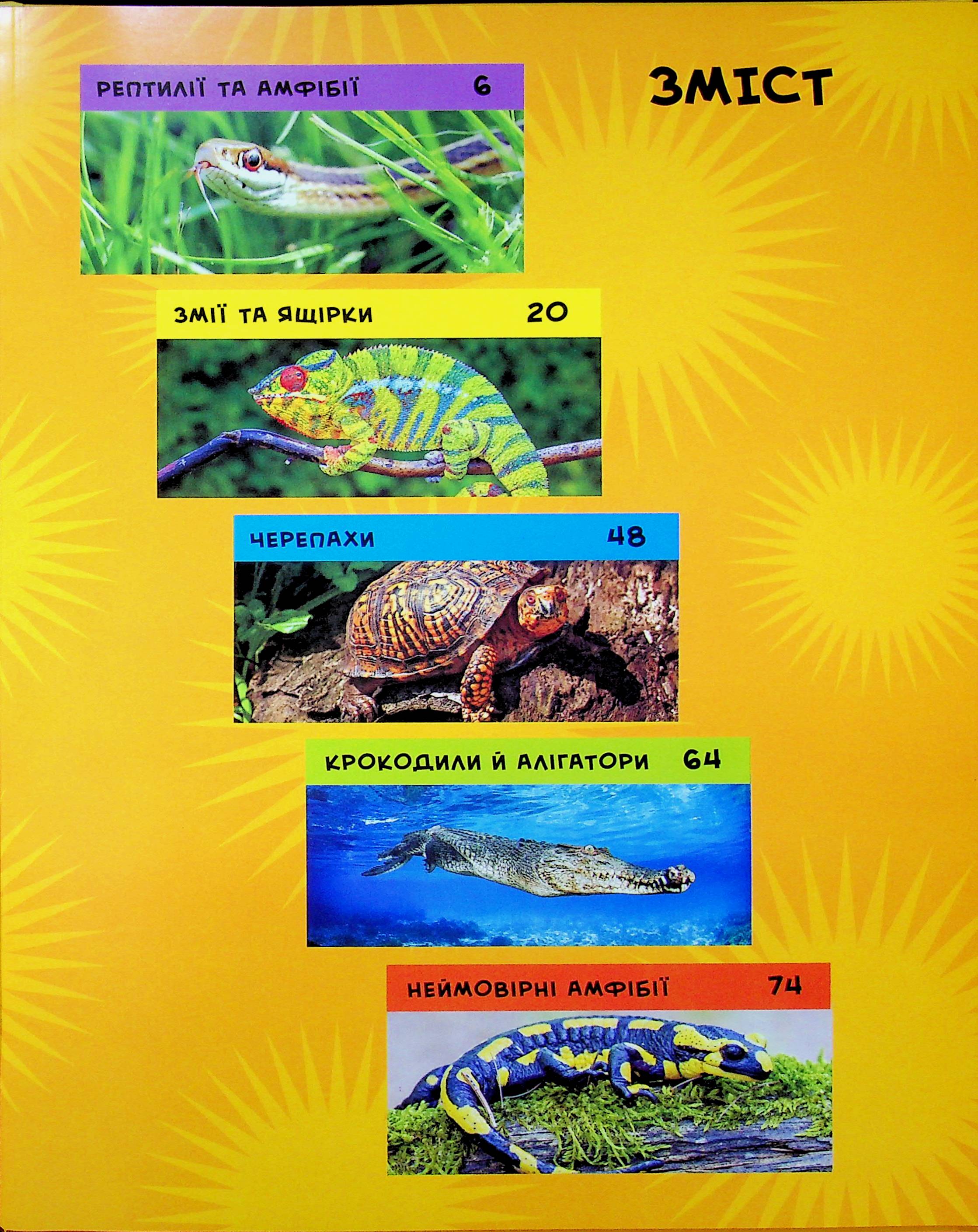 Книга "National Geographic. Моя первая энциклопедия. Рептилии и амфибии" (у) (0799) 1