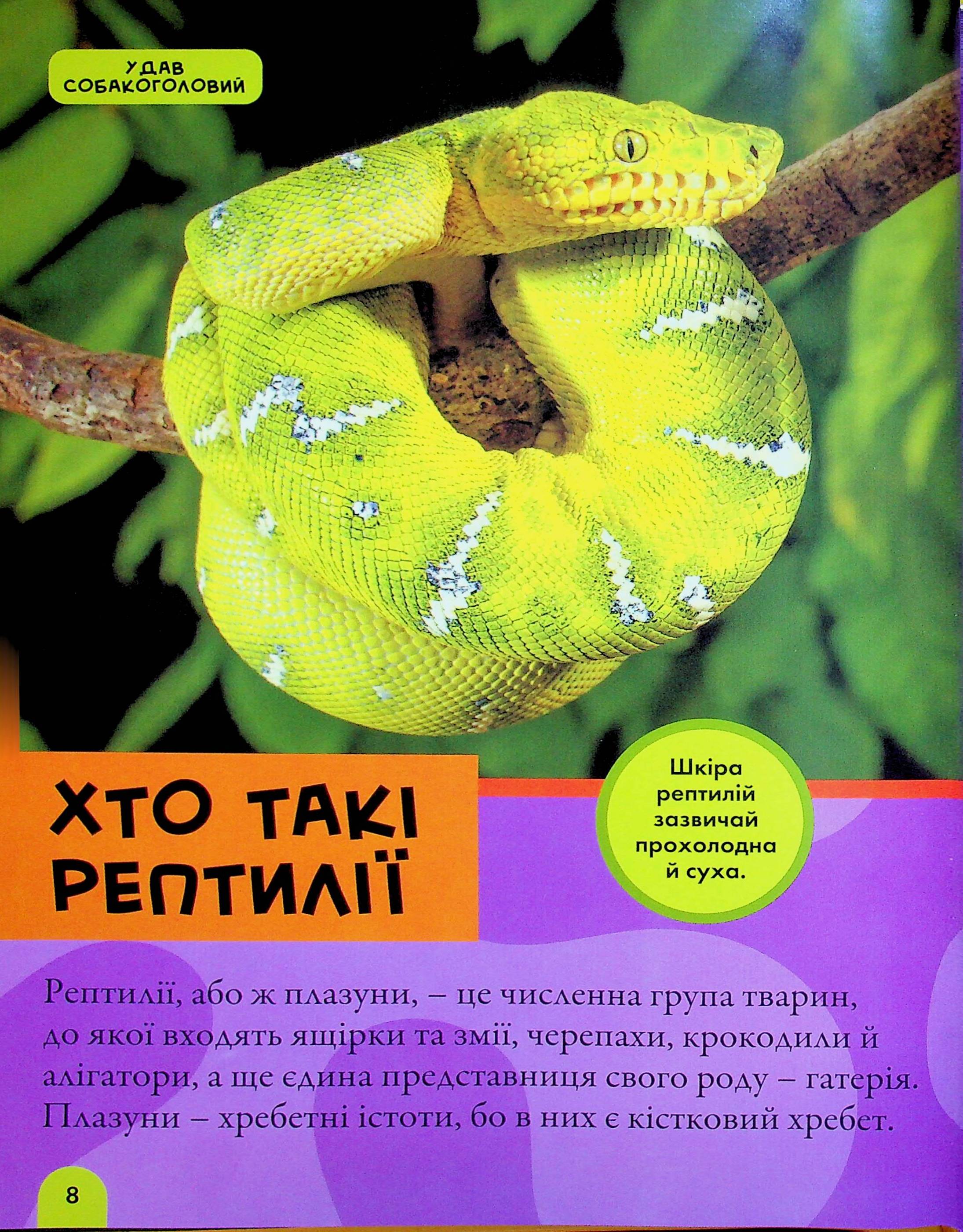 Книга "National Geographic. Моя первая энциклопедия. Рептилии и амфибии" (у) (0799) 4