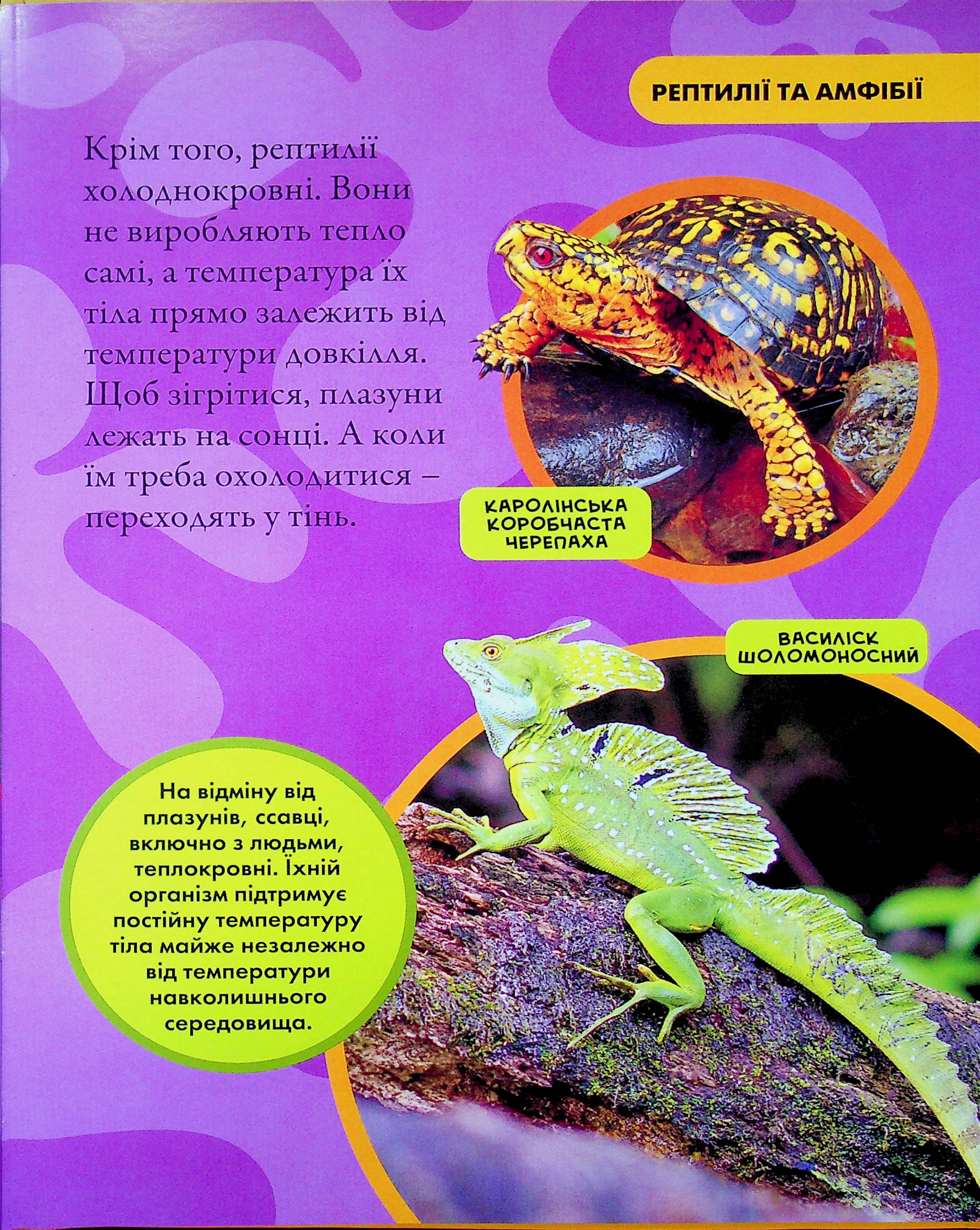 Книга "National Geographic. Моя первая энциклопедия. Рептилии и амфибии" (у) (0799) 5