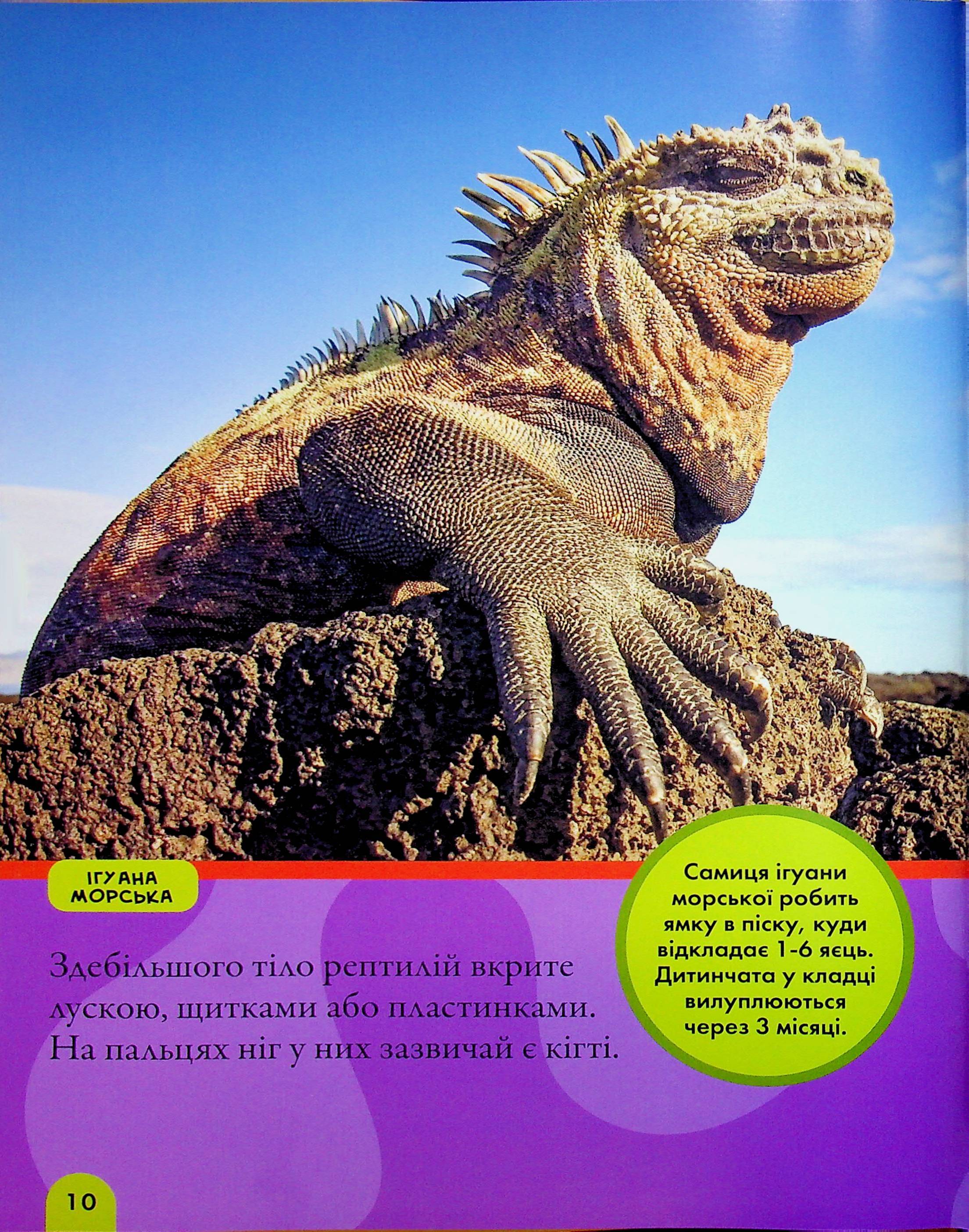 Книга "National Geographic. Моя первая энциклопедия. Рептилии и амфибии" (у) (0799) 6