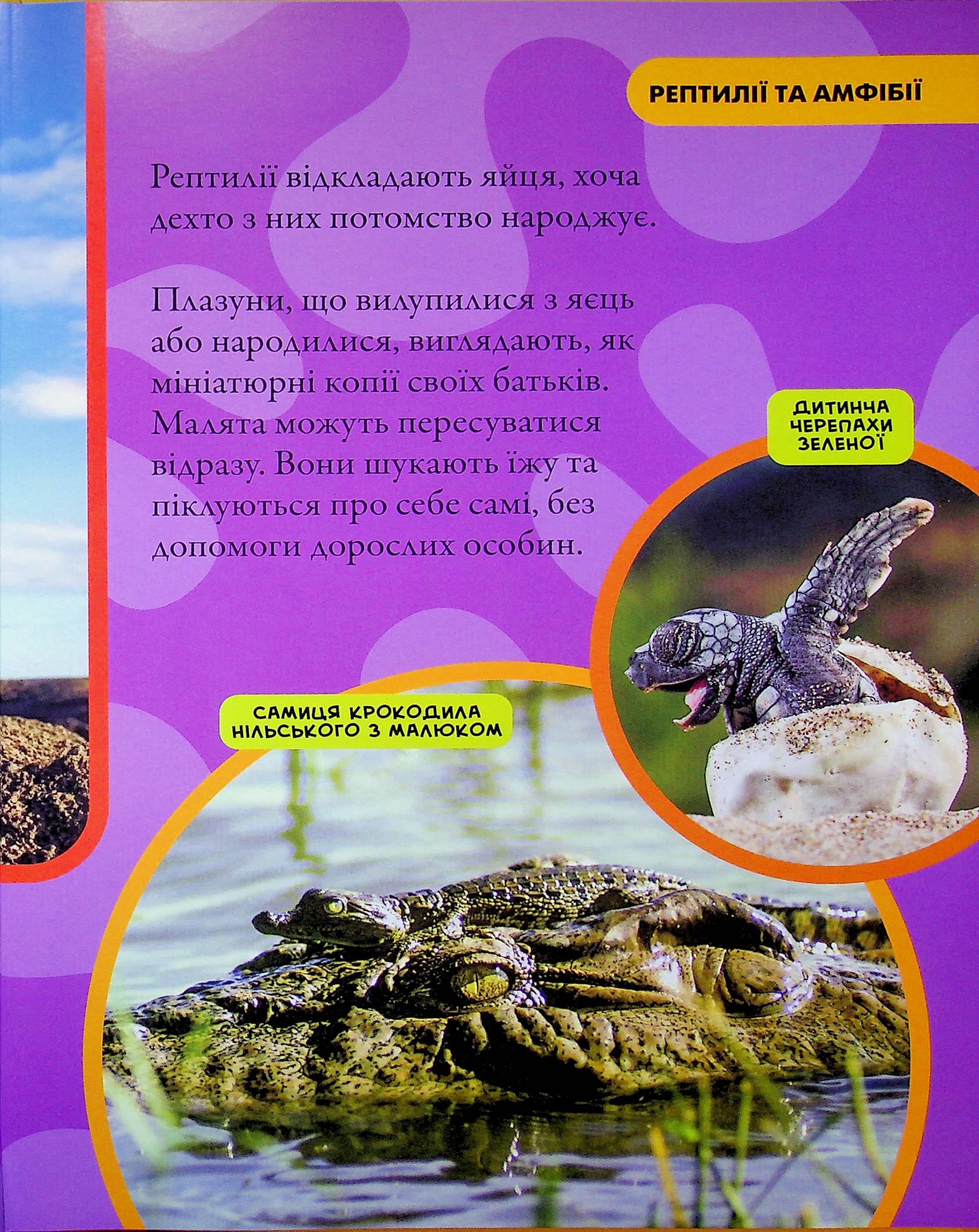 Книга "National Geographic. Моя первая энциклопедия. Рептилии и амфибии" (у) (0799) 7