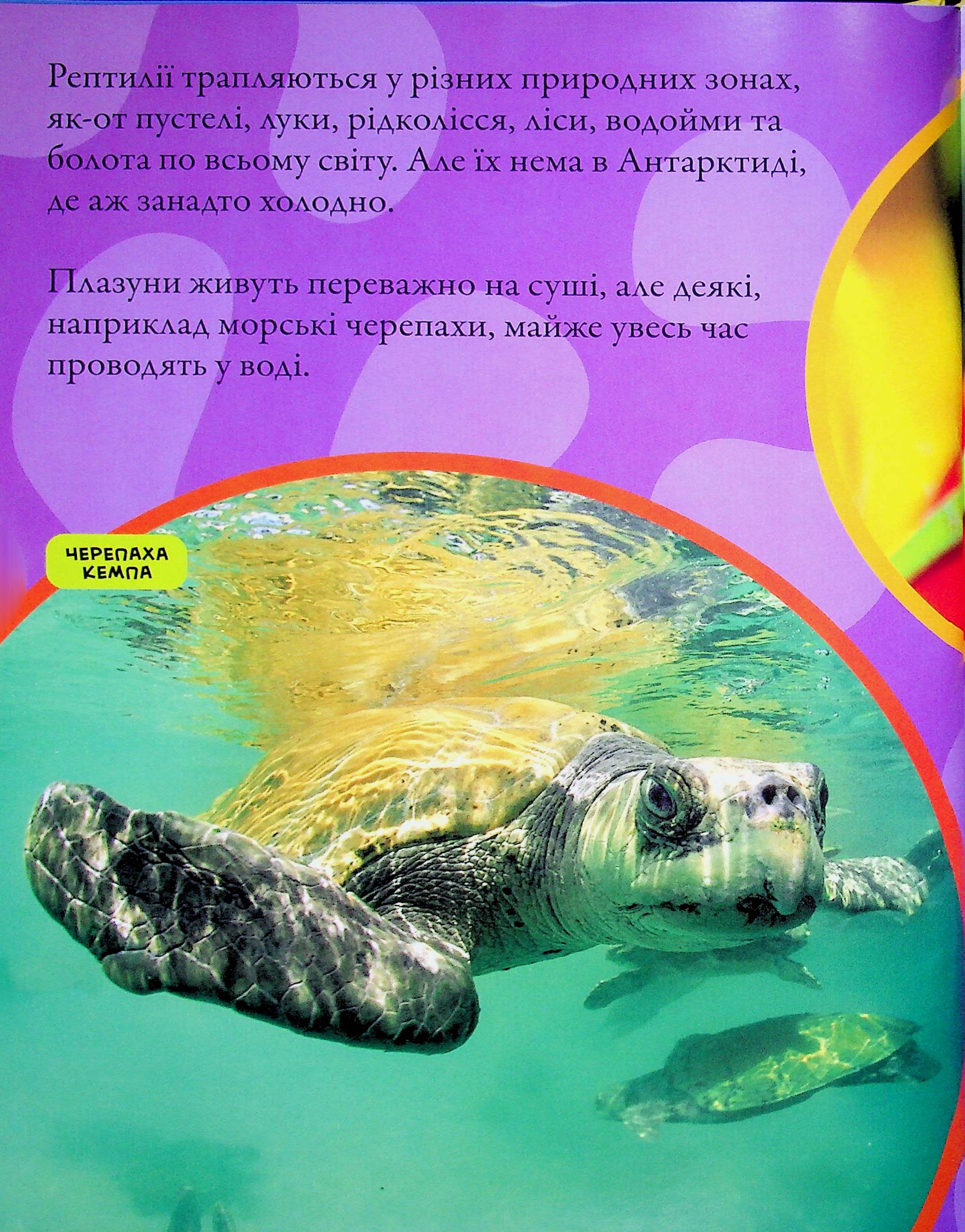 Книга "National Geographic. Моя первая энциклопедия. Рептилии и амфибии" (у) (0799) 8