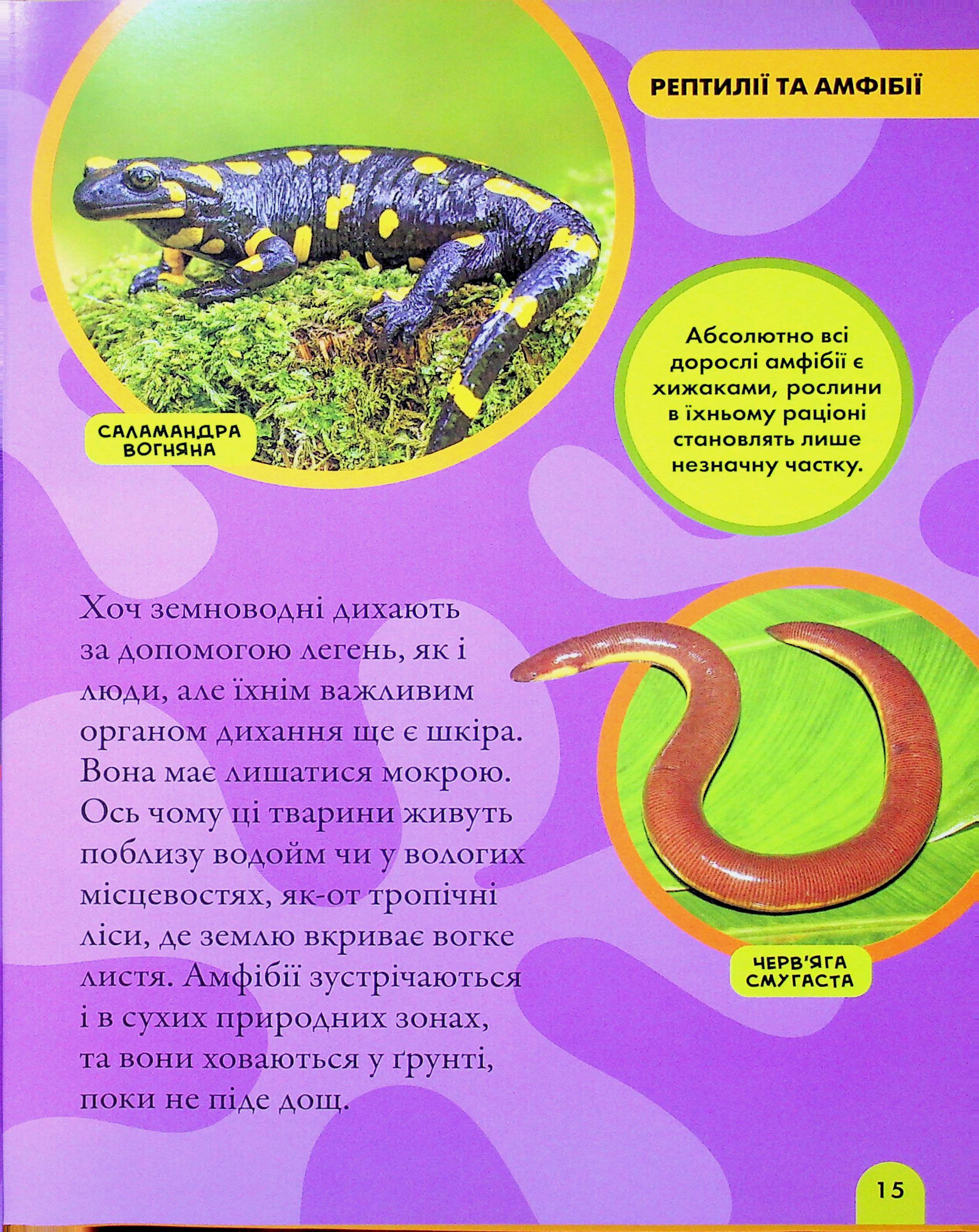 Книга "National Geographic. Моя первая энциклопедия. Рептилии и амфибии" (у) (0799) 11