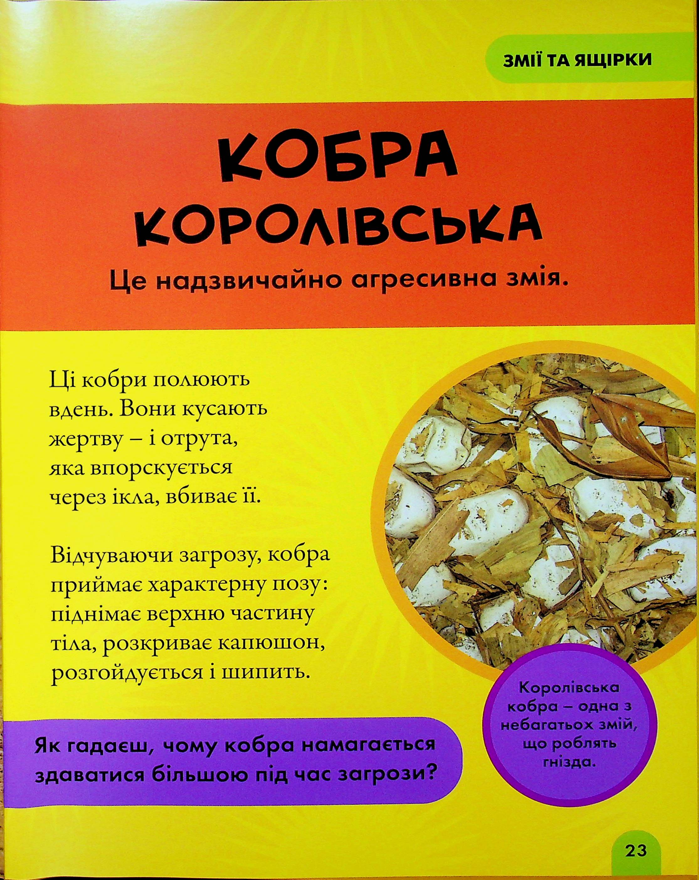 Книга "National Geographic. Моя первая энциклопедия. Рептилии и амфибии" (у) (0799) 19