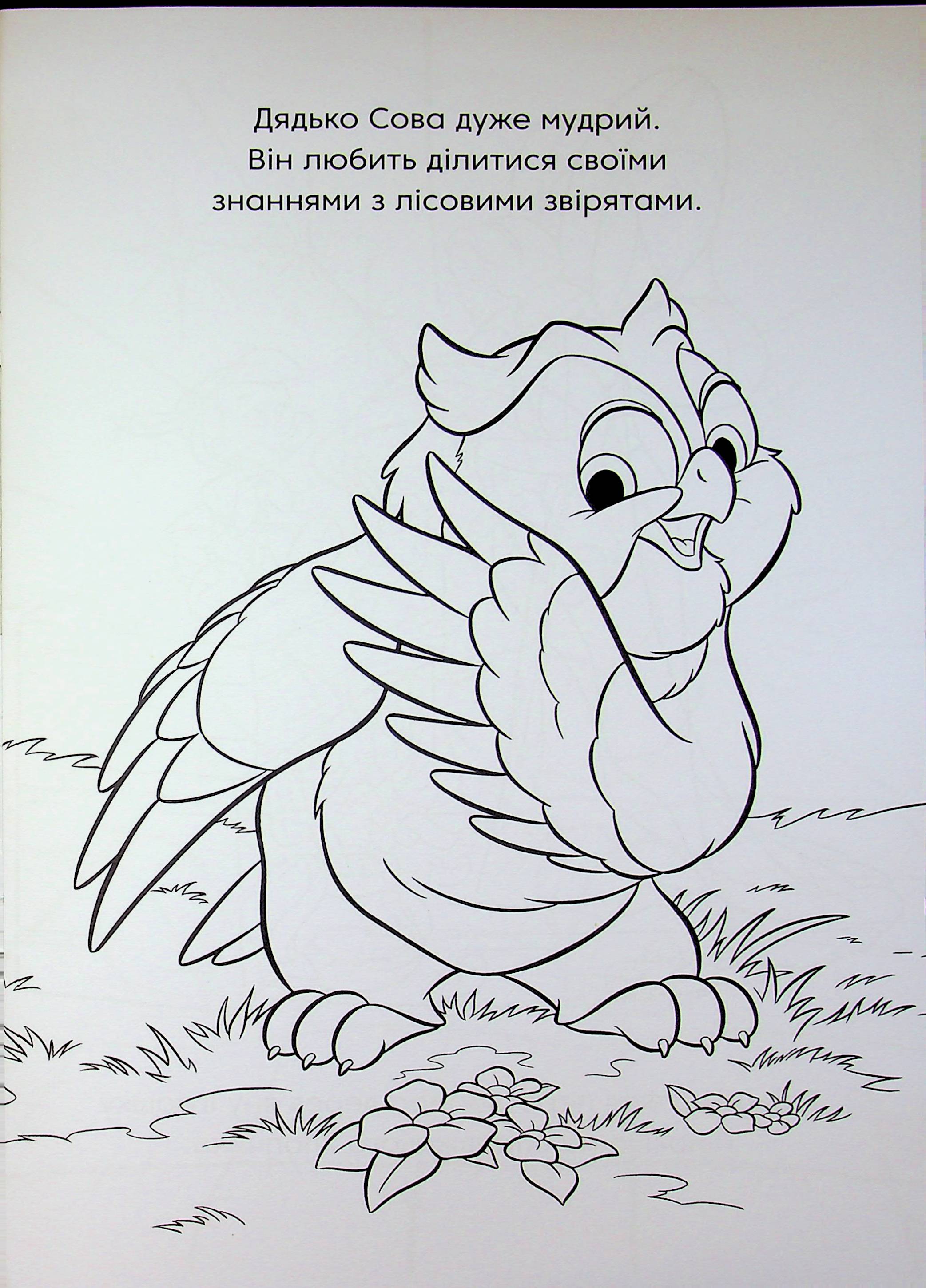Розмальовка з наліпками "Класика Дісней" (у) (1161) 3