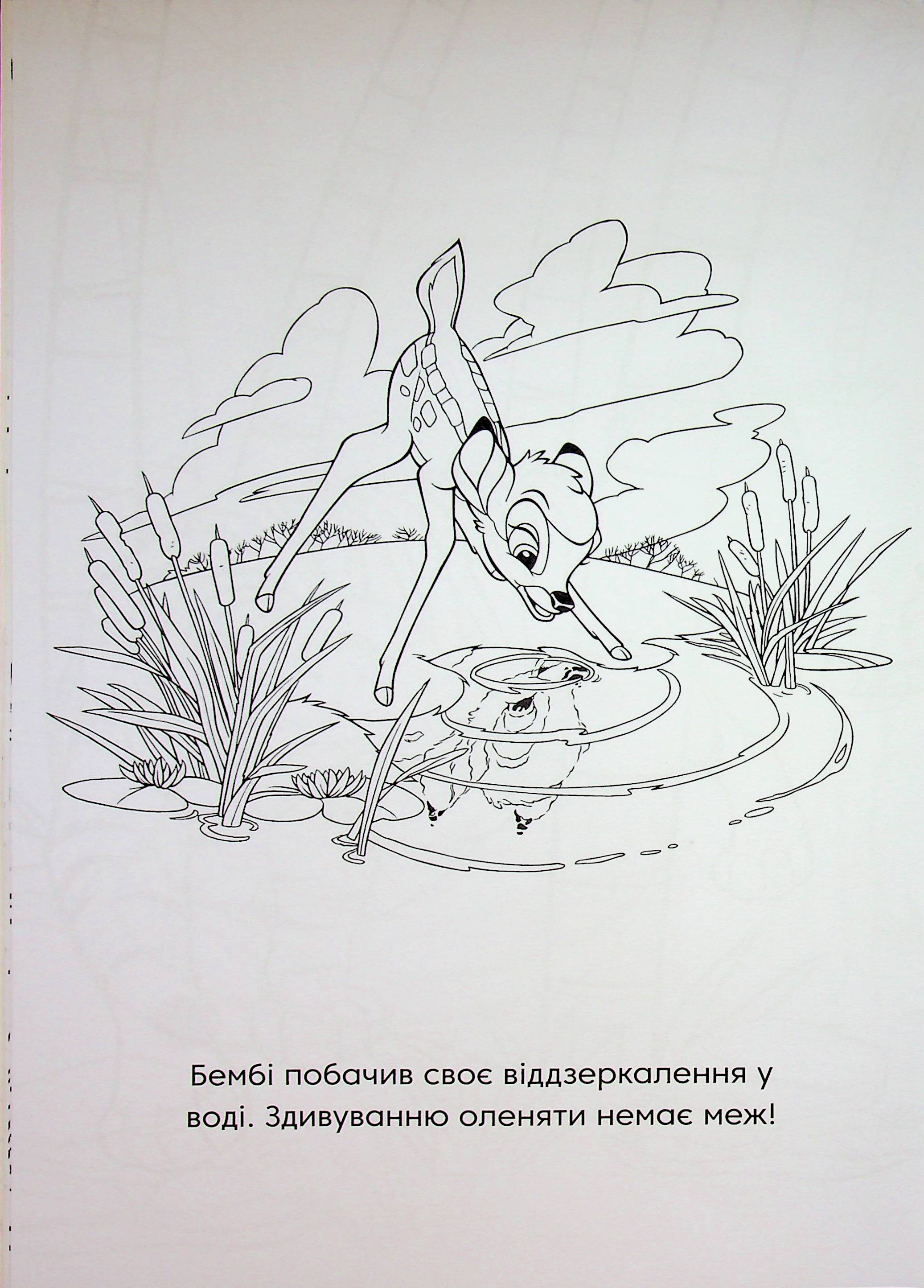 Розмальовка з наліпками "Класика Дісней" (у) (1161) 12
