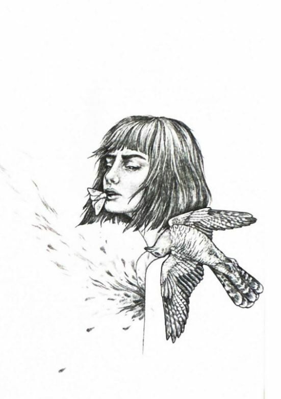 Книга "Шардицкая К. Ночи бесов" (у) (7034) 7