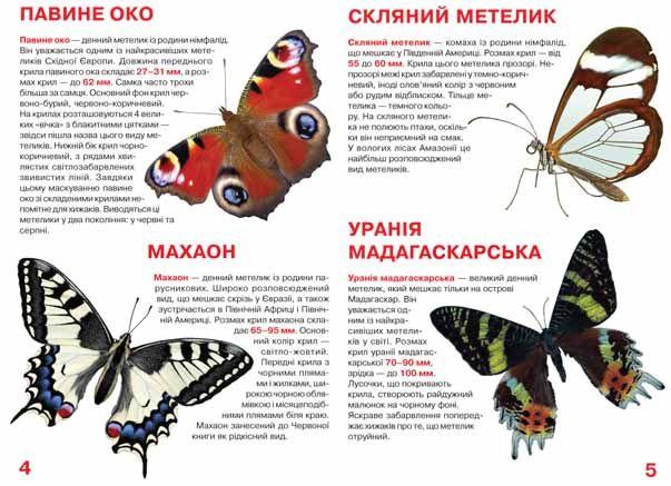 Книга "Велика книга. Метелики" (у) (4549) 3
